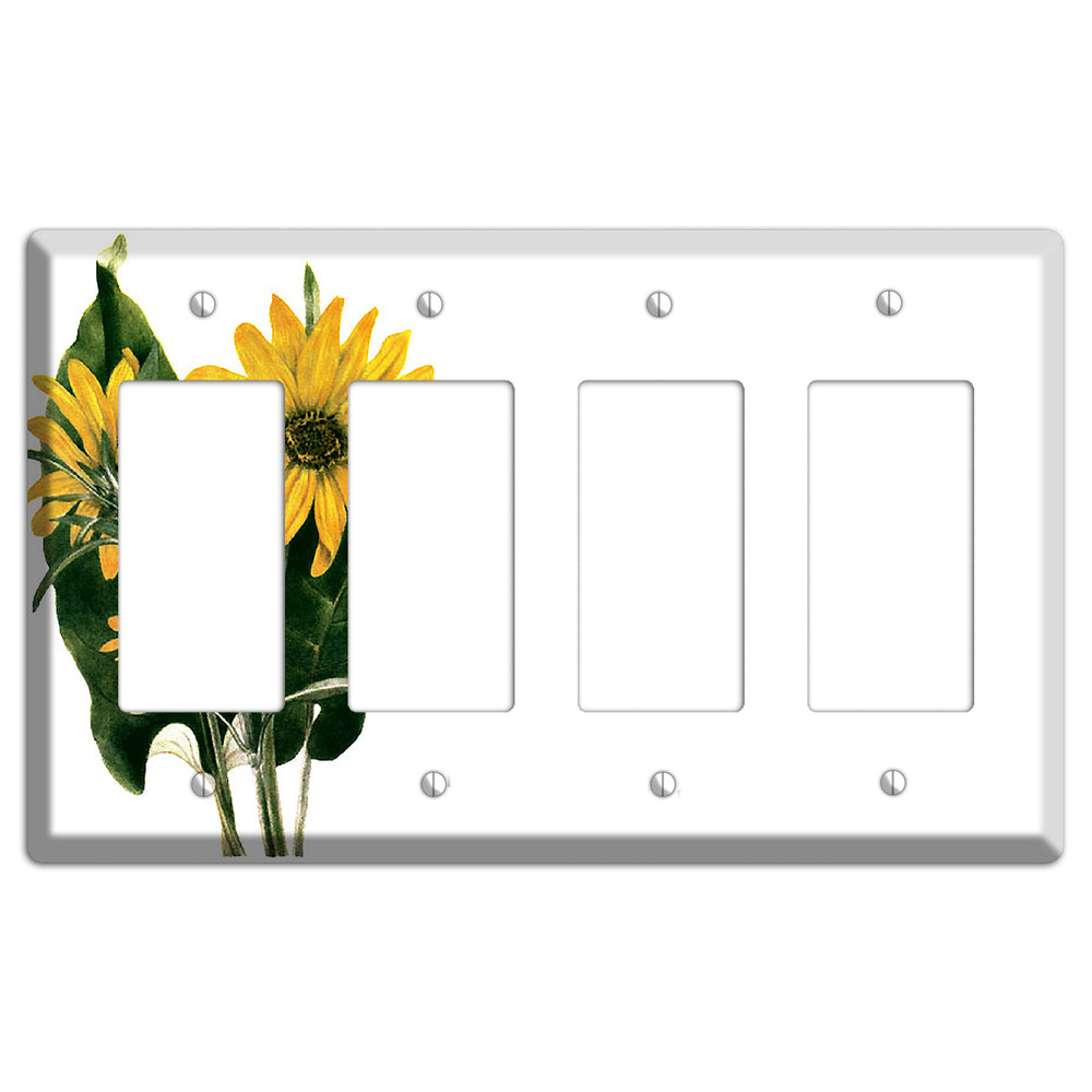 Balsamorhiza Sagittata 4 Rocker Wallplate