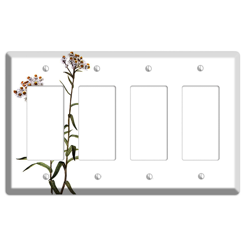 Anaphalis Margoritacea 4 Rocker Wallplate