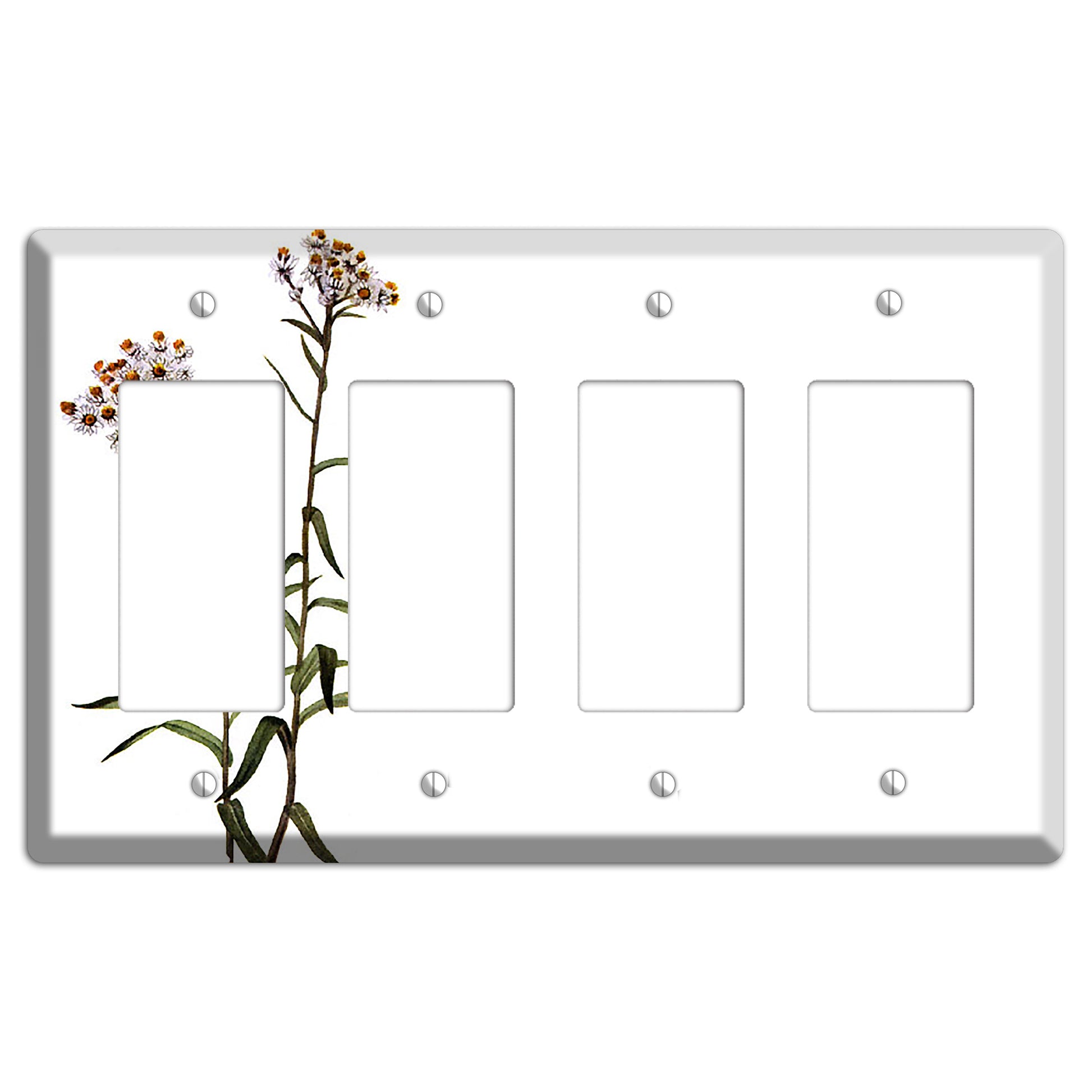 Anaphalis Margoritacea 4 Rocker Wallplate
