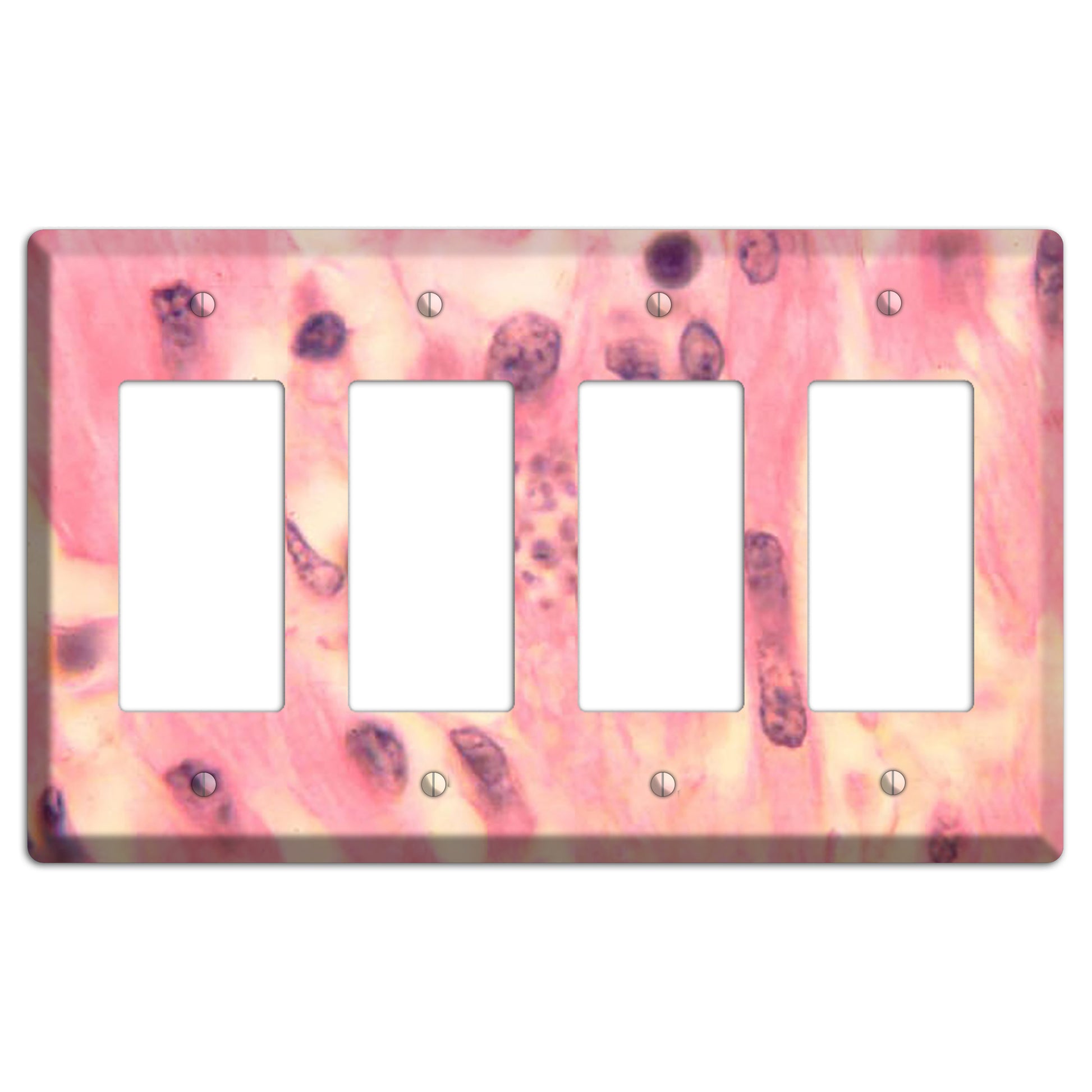 Trypanosoma Cruzi Heart 4 Rocker Wallplate