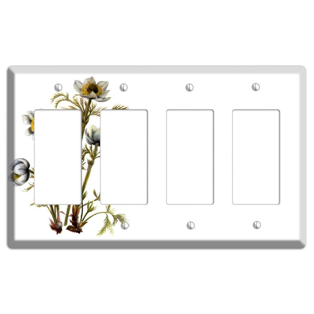 Aenmone Occitentalis 4 Rocker Wallplate
