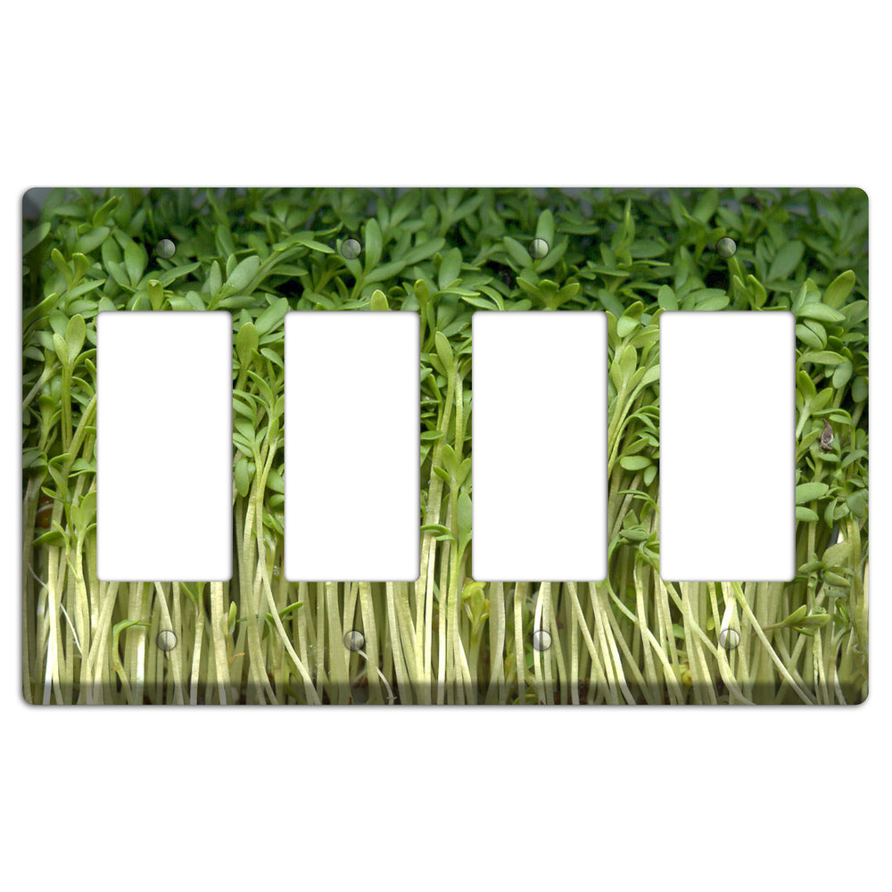 Sprouts 4 Rocker Wallplate