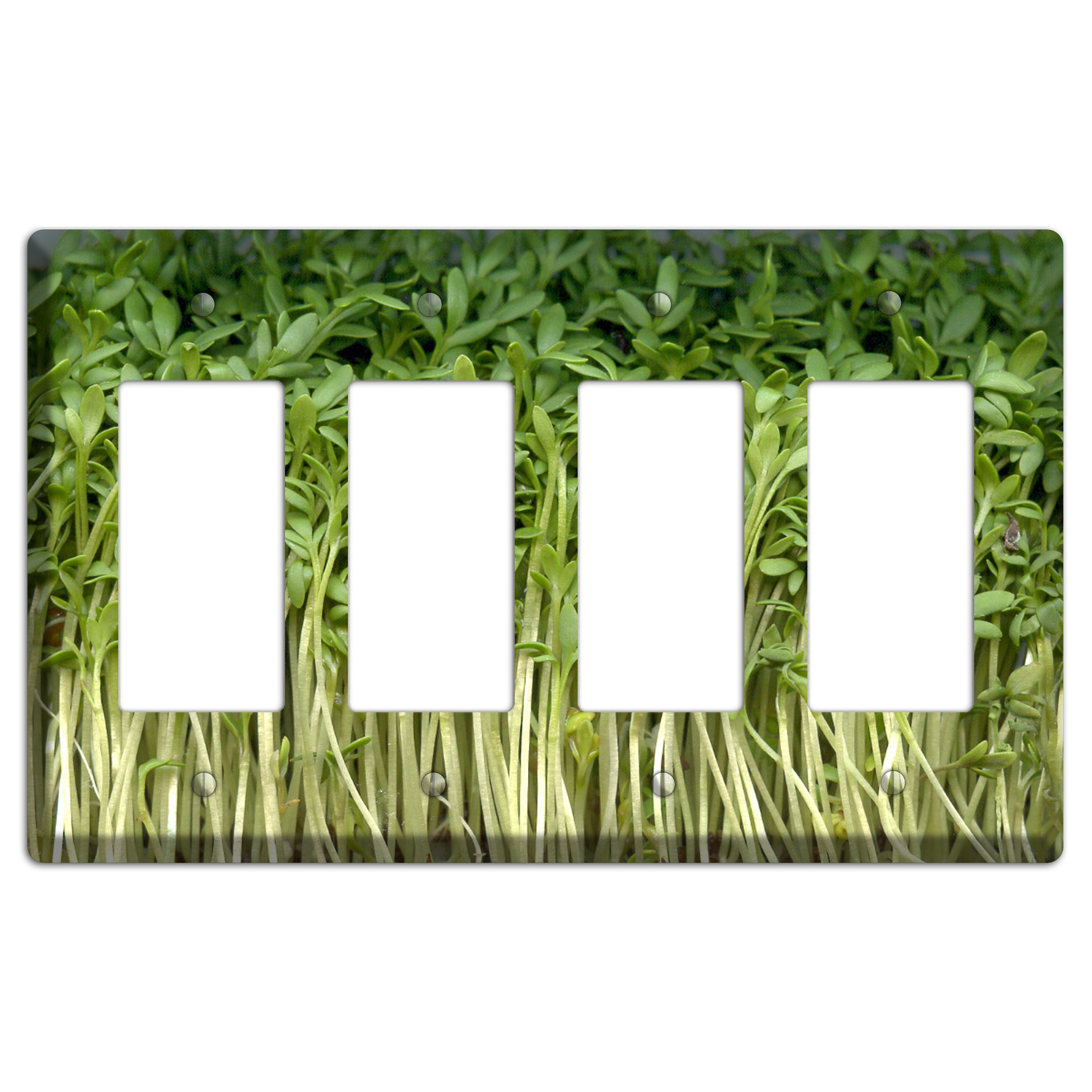 Sprouts 4 Rocker Wallplate