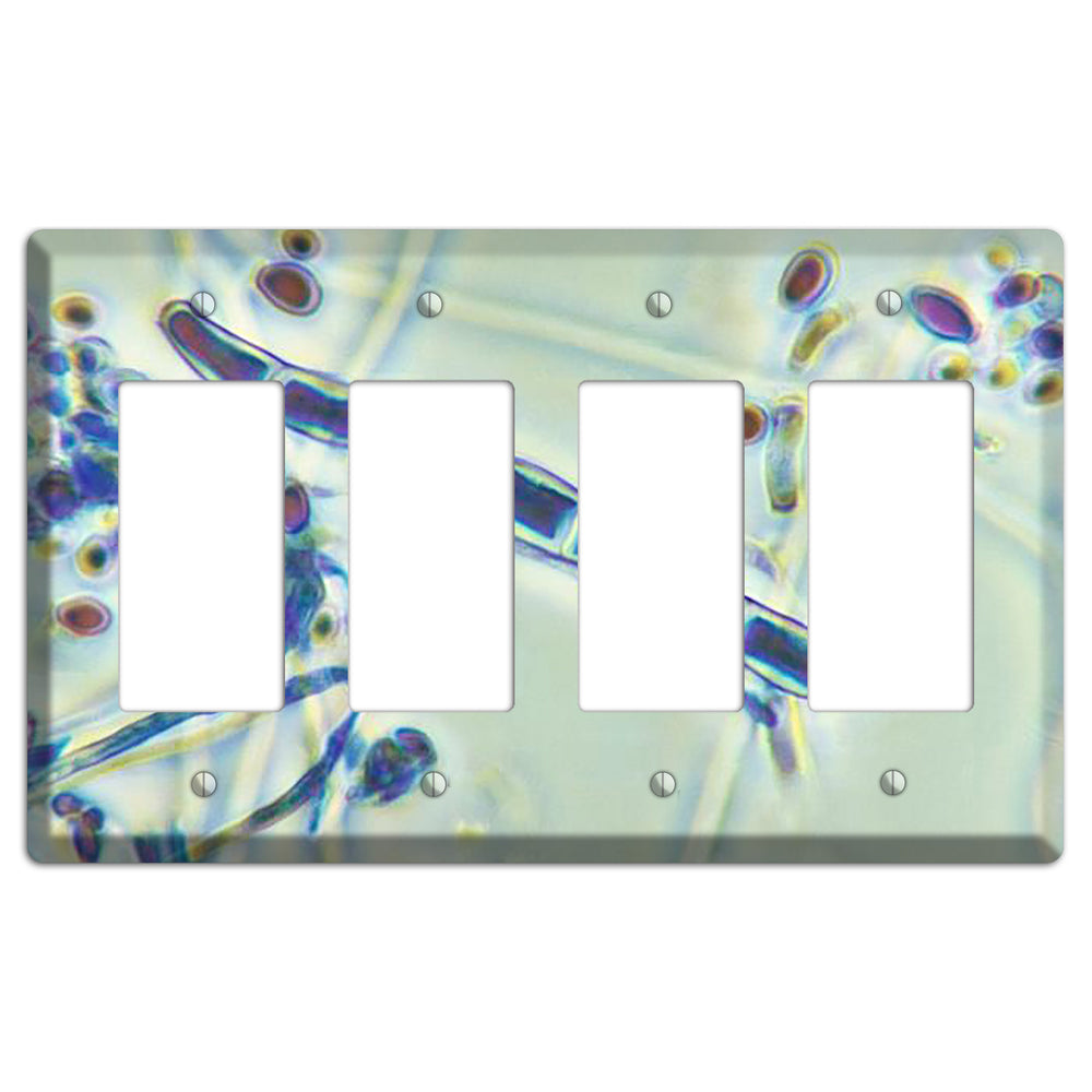 Trichophyton Rubrum Var Rodhaini 4 Rocker Wallplate