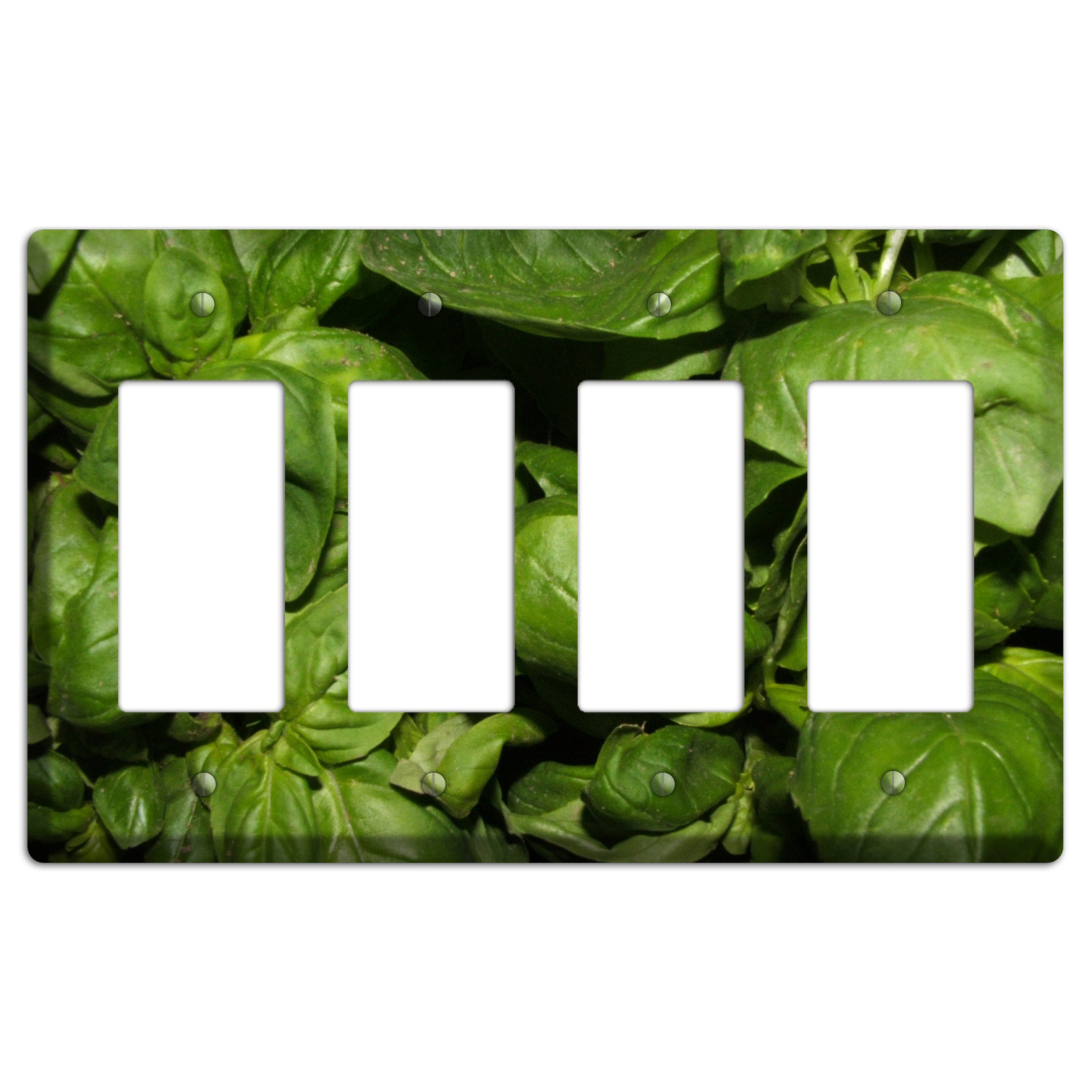 Basil 4 Rocker Wallplate