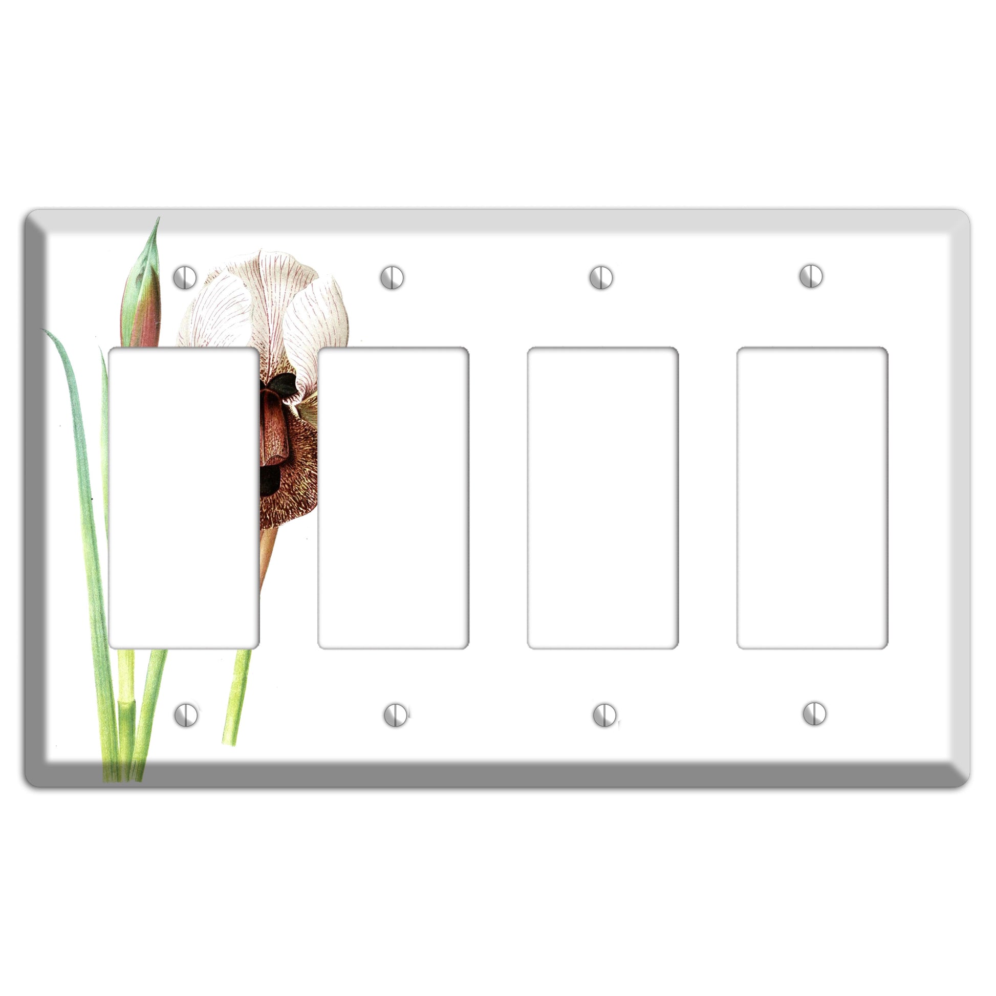 White iris 4 Rocker Wallplate