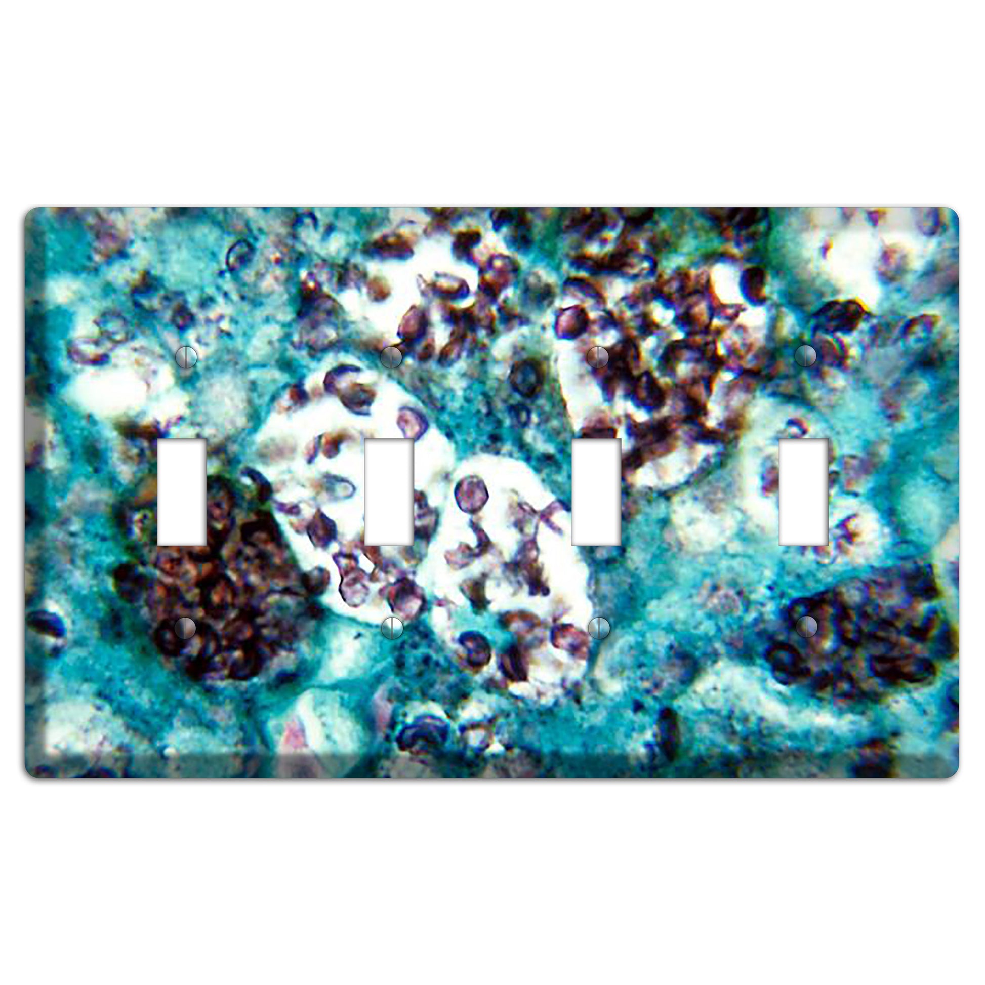 Histoplasmosis Capsulatum 4 Toggle Wallplate