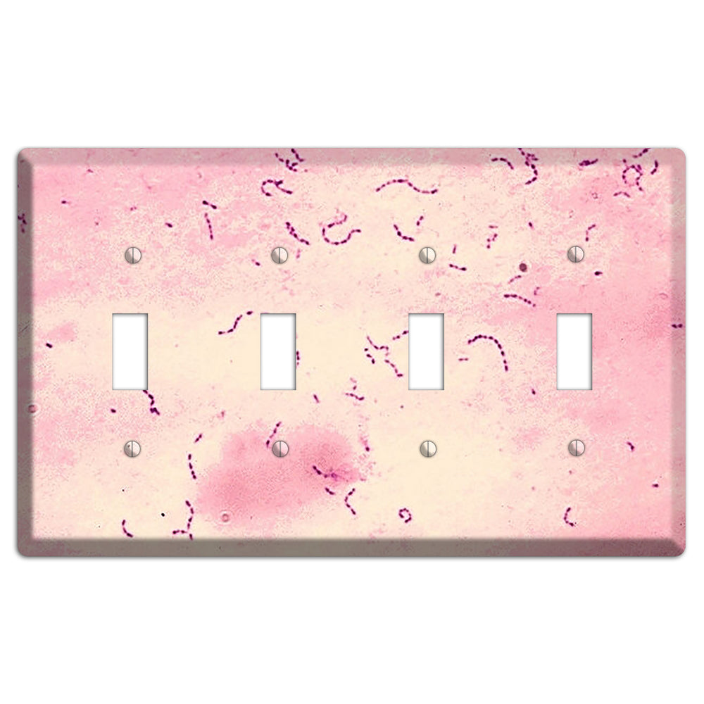 Streptococcus Mutans 4 Toggle Wallplate