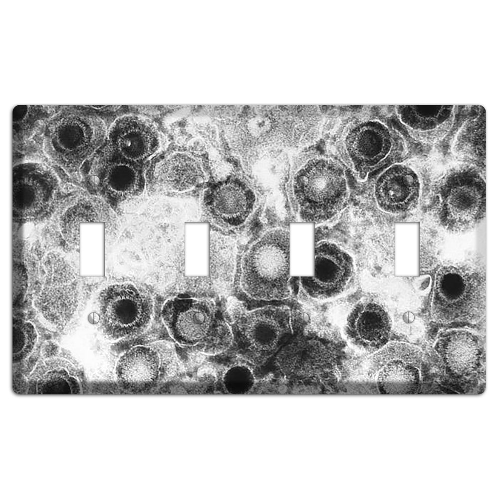 Herpes Simplex 4 Toggle Wallplate