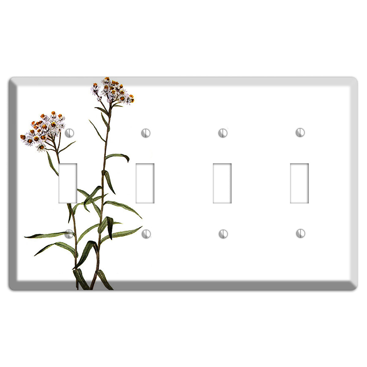 Anaphalis Margoritacea 4 Toggle Wallplate