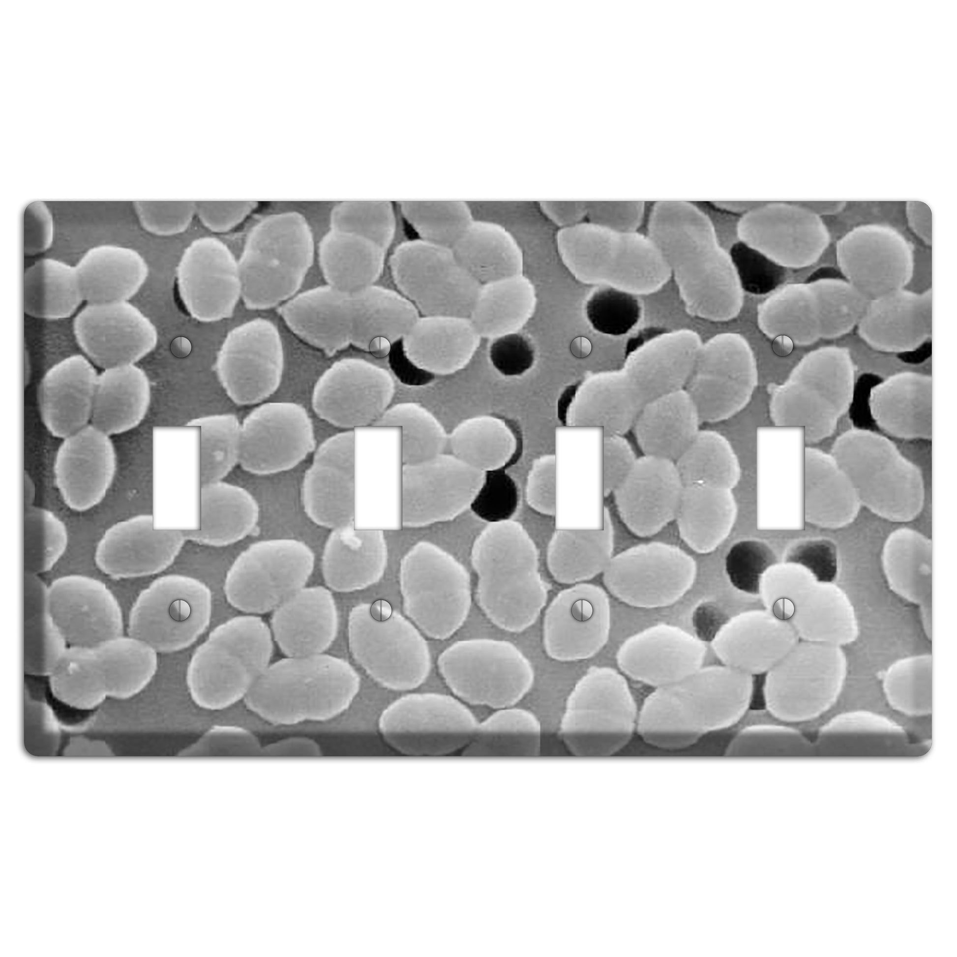 Entercoccus 4 Toggle Wallplate