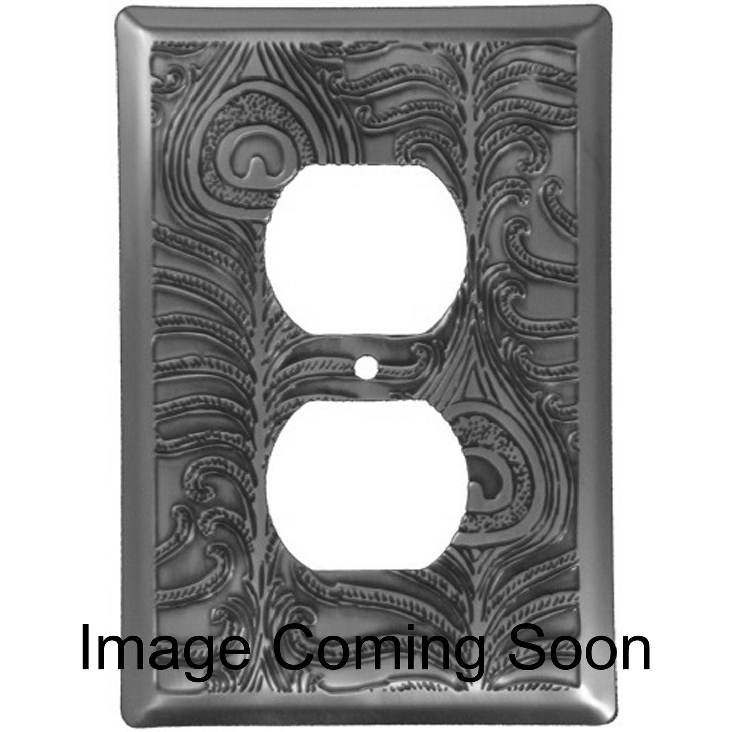 Peacock Stainless Steel Duplex Outlet Switchplate