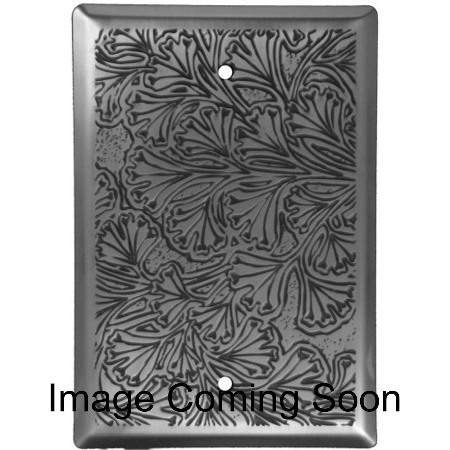 Maidenhaire Fern Stainless Steel BlankSwitchplate