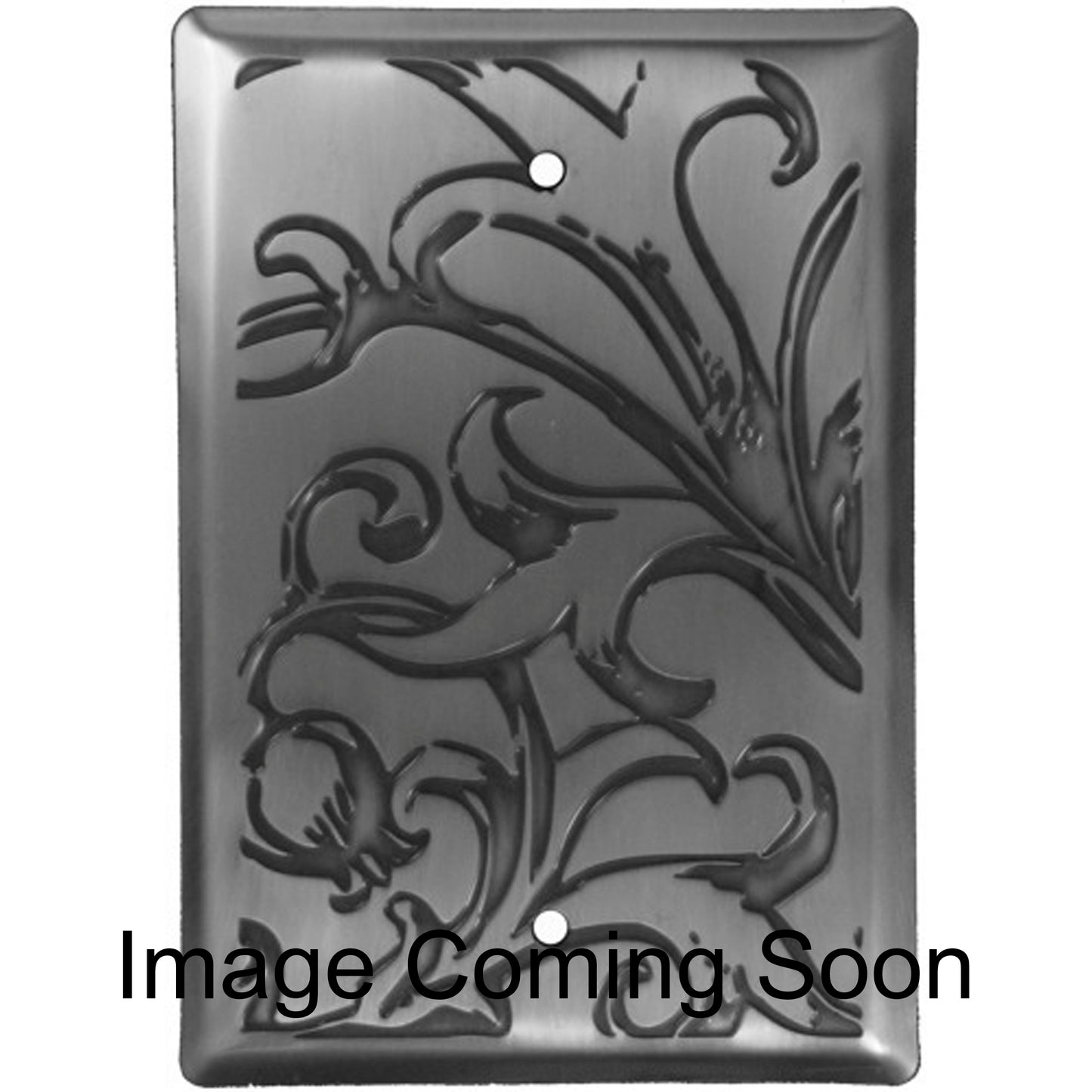Victorian Stainless Steel BlankSwitchplate