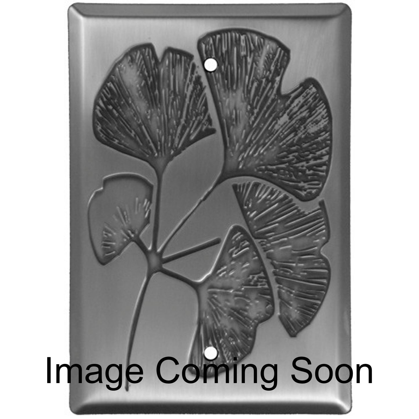 Ginkgo Stainless Steel BlankSwitchplate