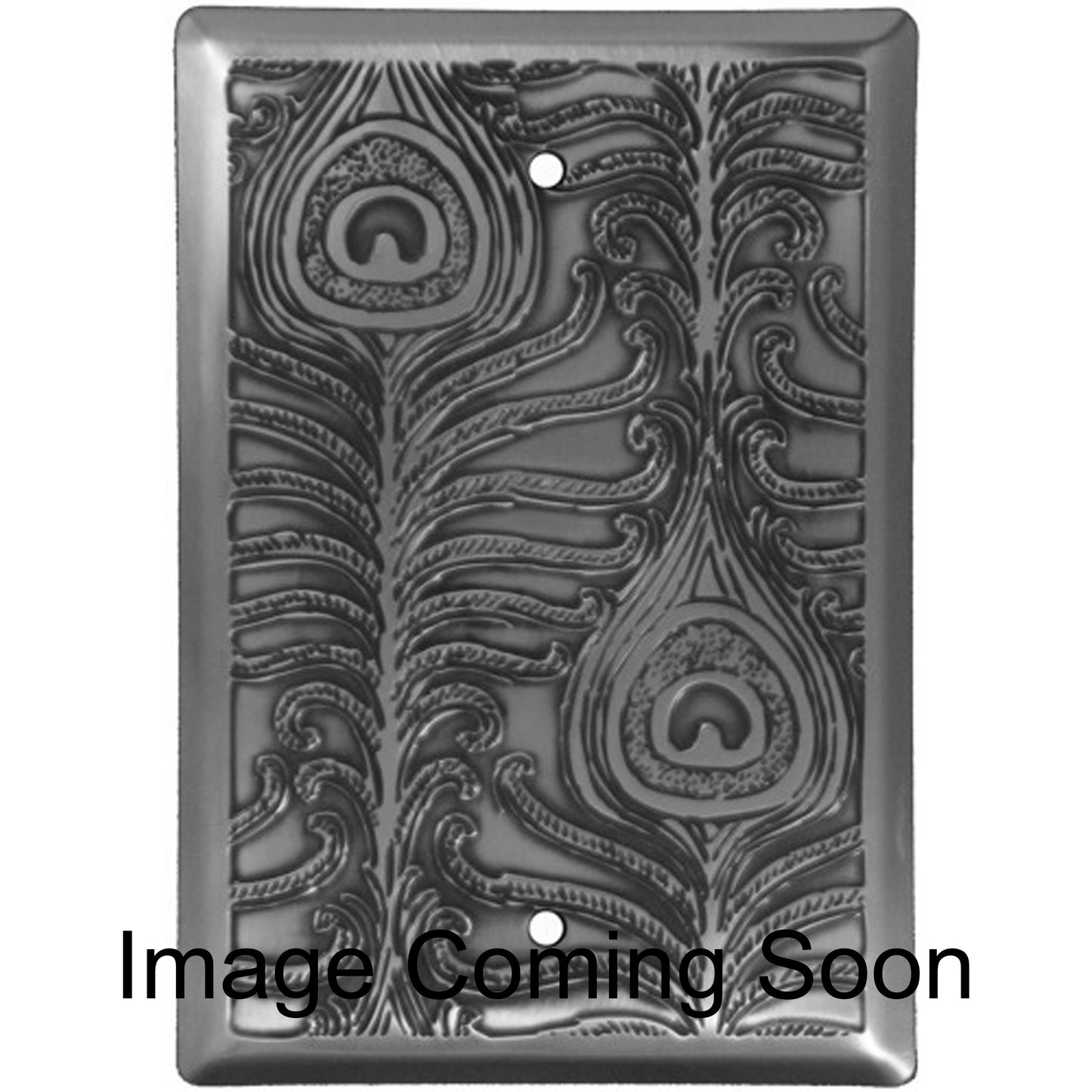 Peacock Stainless Steel BlankSwitchplate