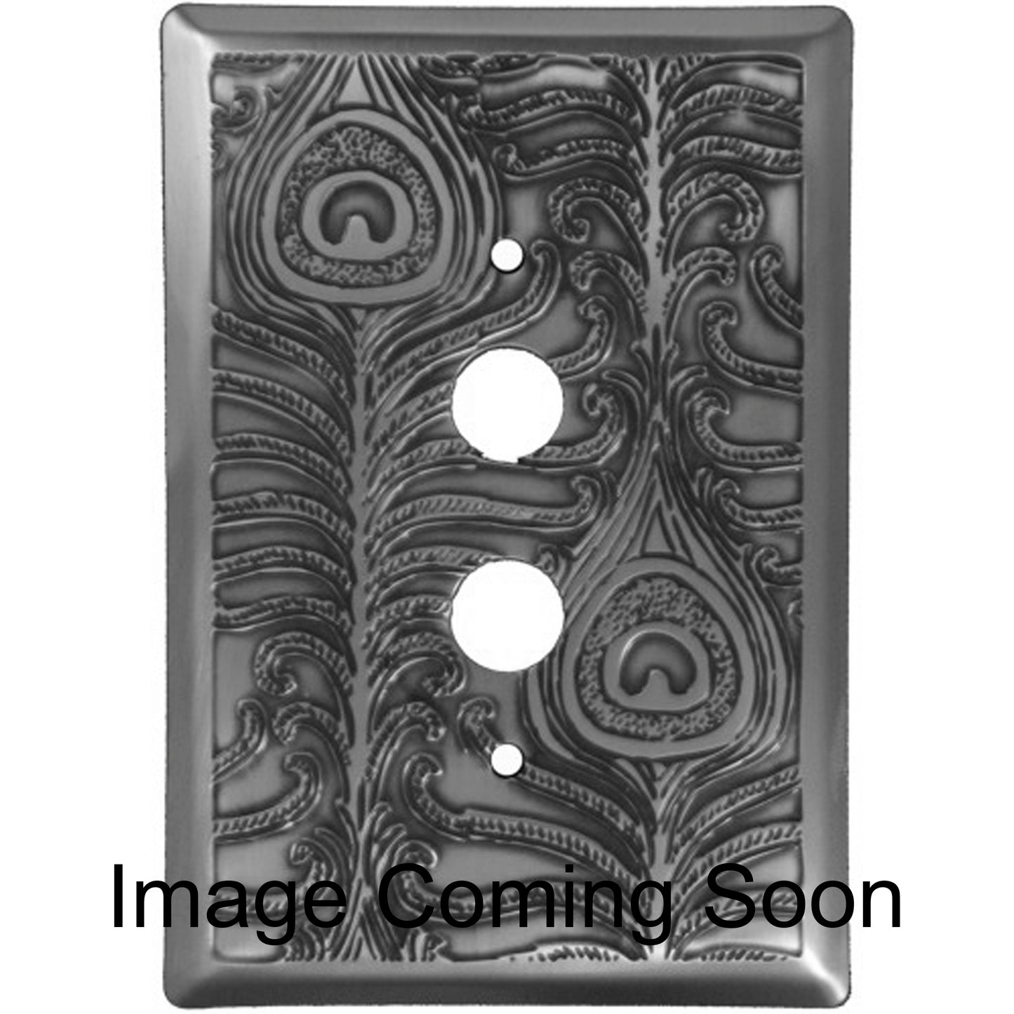 Peacock Stainless Steel 1 Pushbutton Switchplate