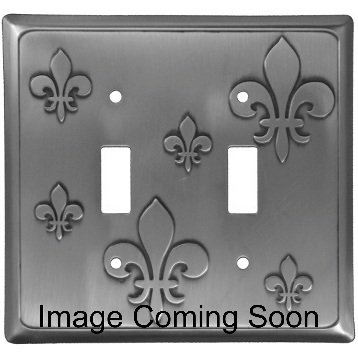 Fleur-de-Lis Stainless Steel Double Toggle Switchplate