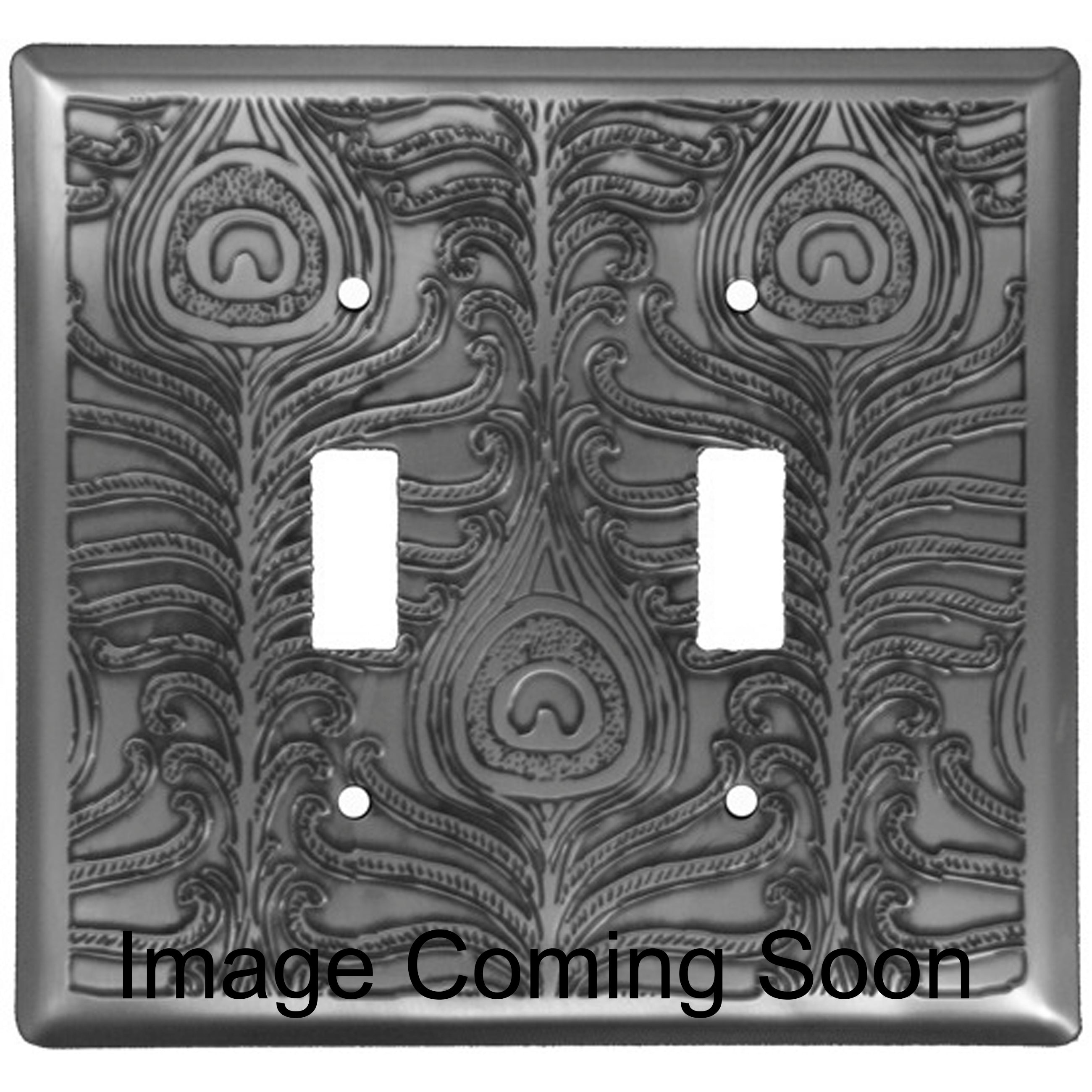 Peacock Stainless Steel Double Toggle Switchplate