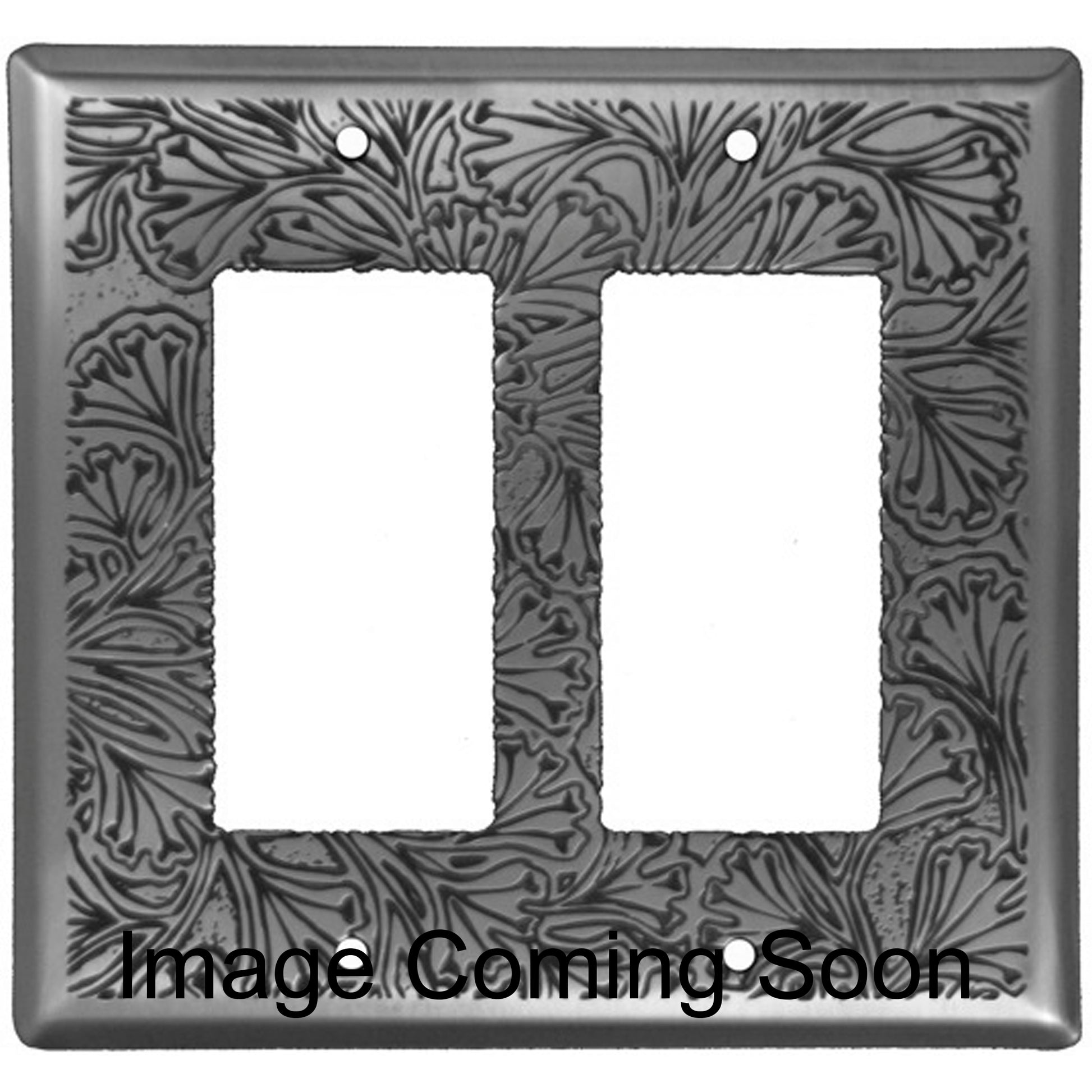 Maidenhaire Fern Stainless Steel Double Rocker Switchplate