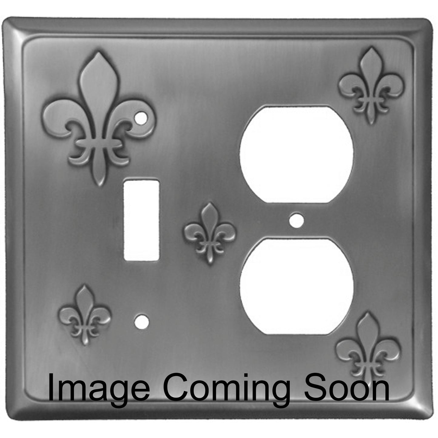 Fleur-de-Lis Stainless Steel Toggle / Duplex Switchplate