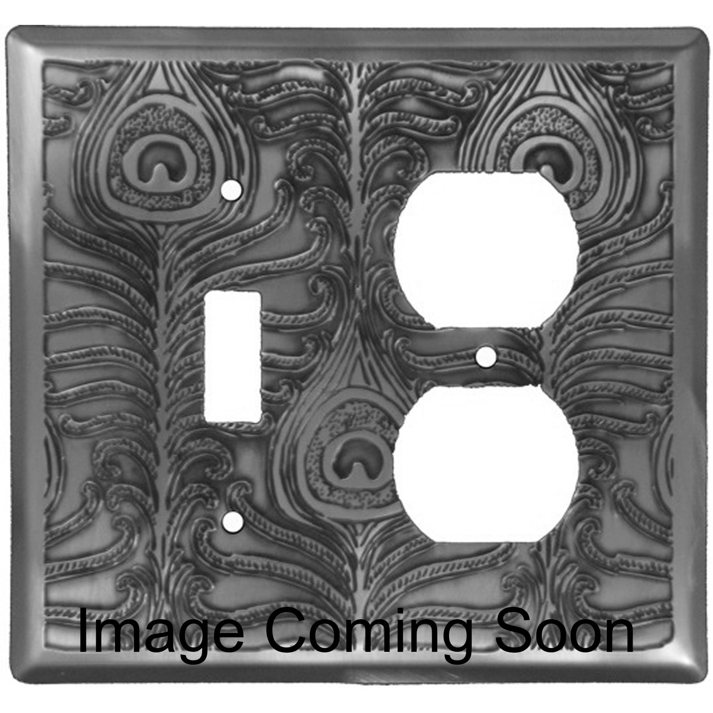 Peacock Stainless Steel Toggle / Duplex Switchplate