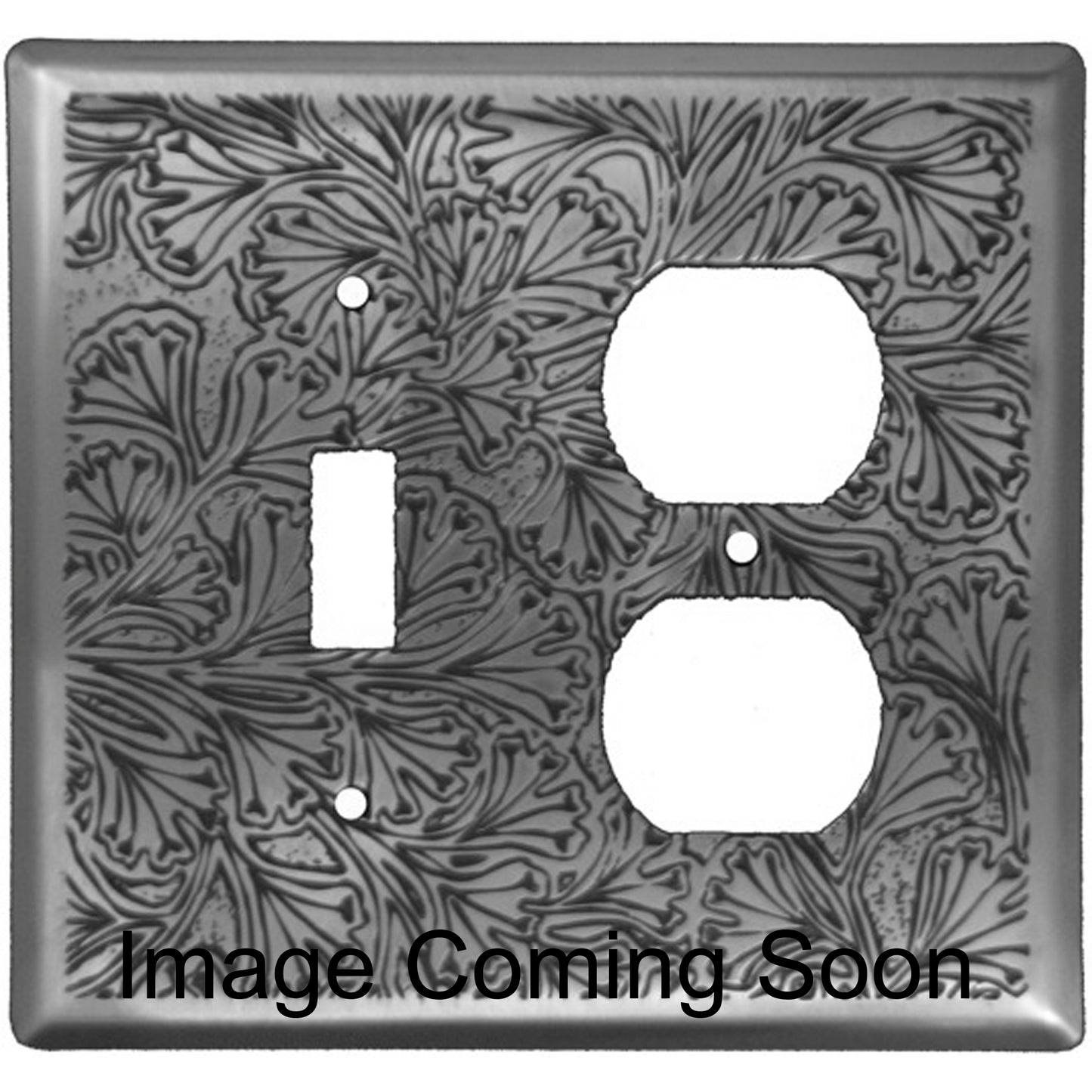 Maidenhaire Fern Stainless Steel Toggle / Duplex Switchplate