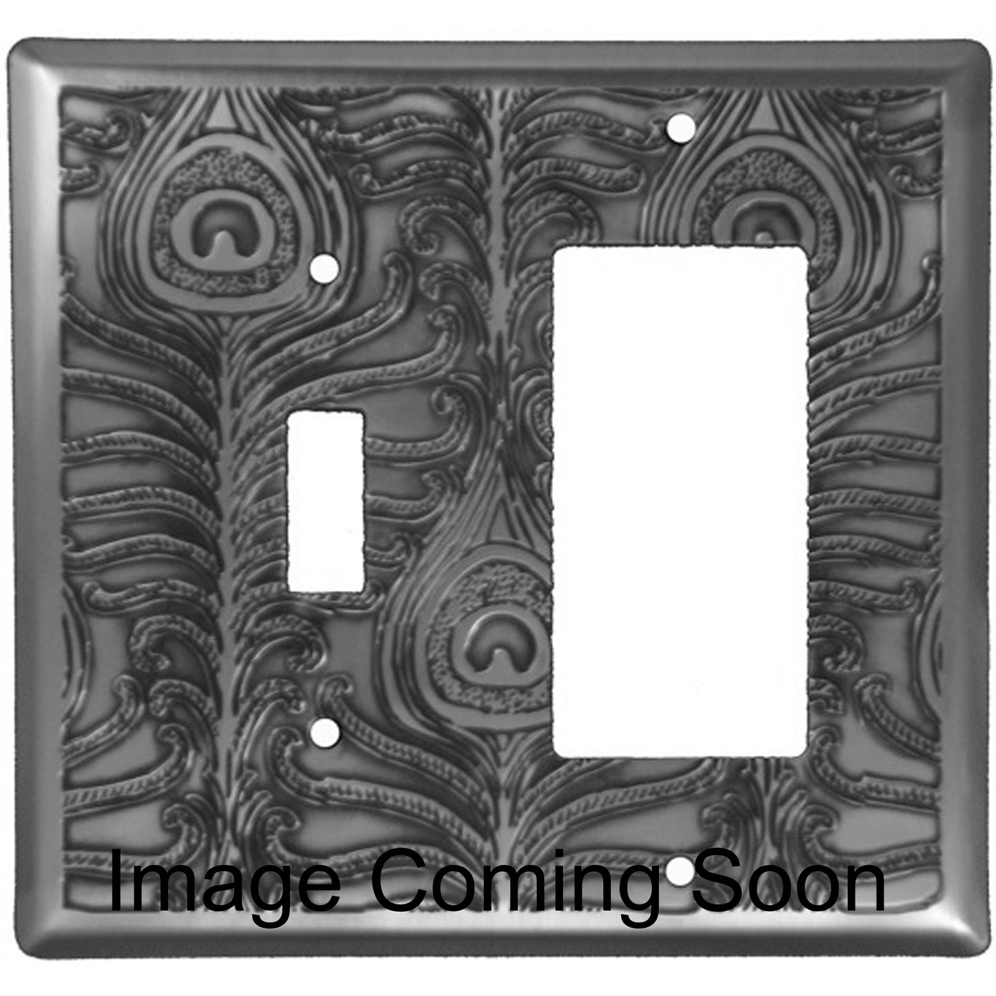 Peacock Stainless Steel Toggle / Rocker Switchplate