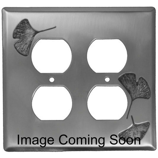 Ginkgo Stainless Steel 2 Duplex Outlet Switchplate