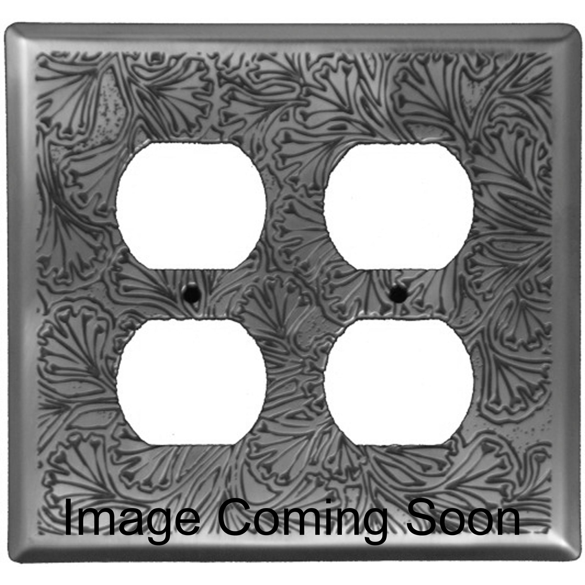 Maidenhaire Fern Stainless Steel 2 Duplex Outlet Switchplate