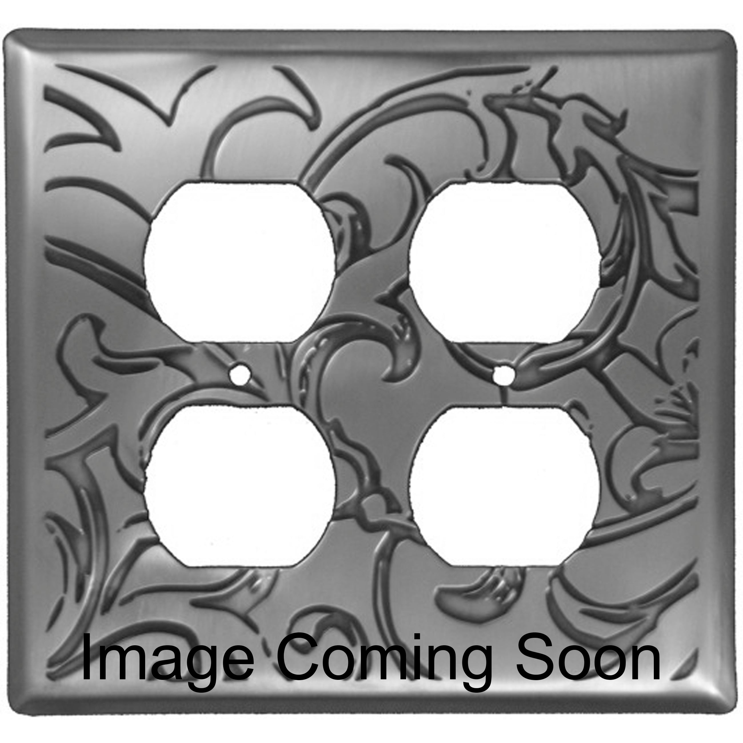 Victorian Stainless Steel 2 Duplex Outlet Switchplate