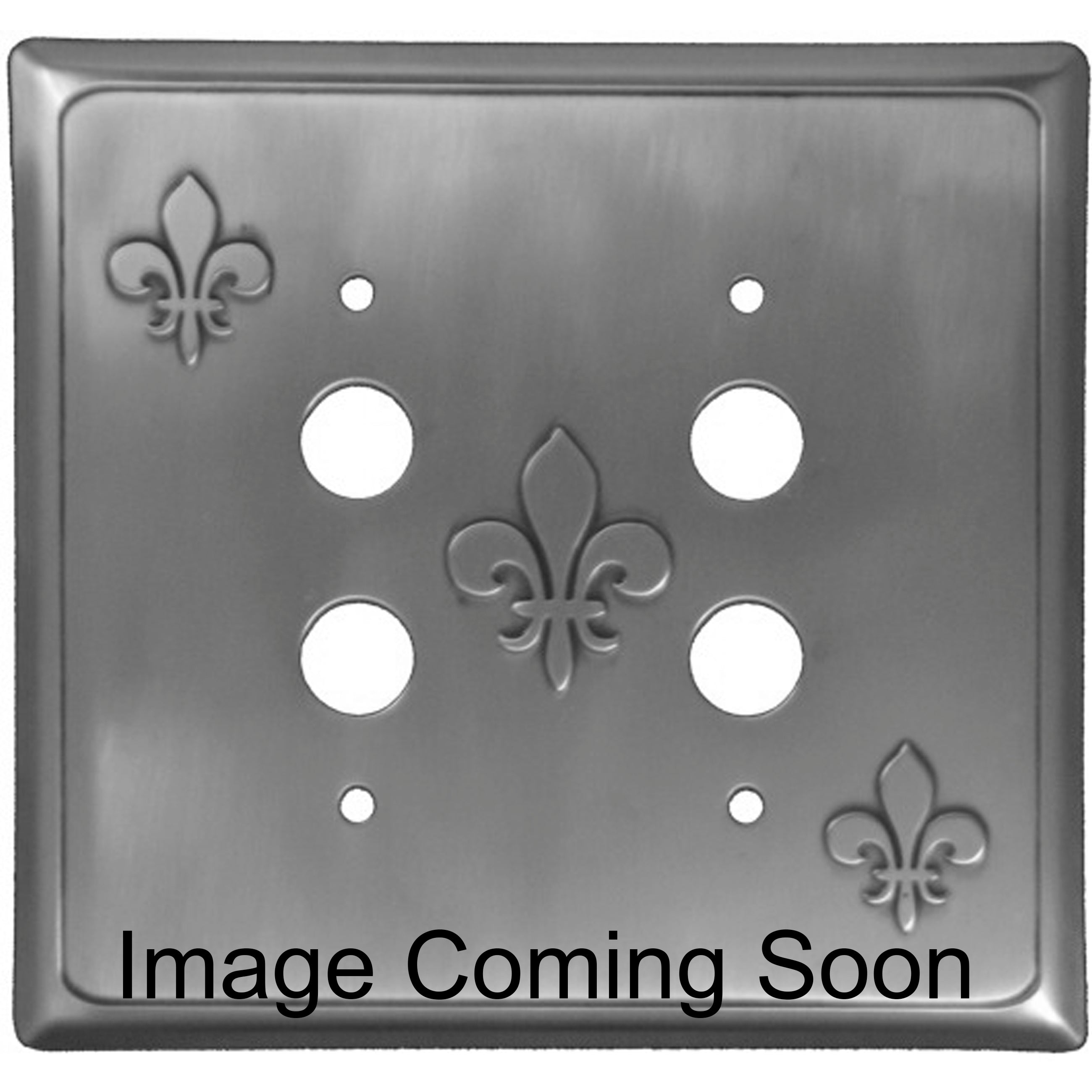 Fleur-de-Lis Stainless Steel 2 PushbuttonSwitchplate