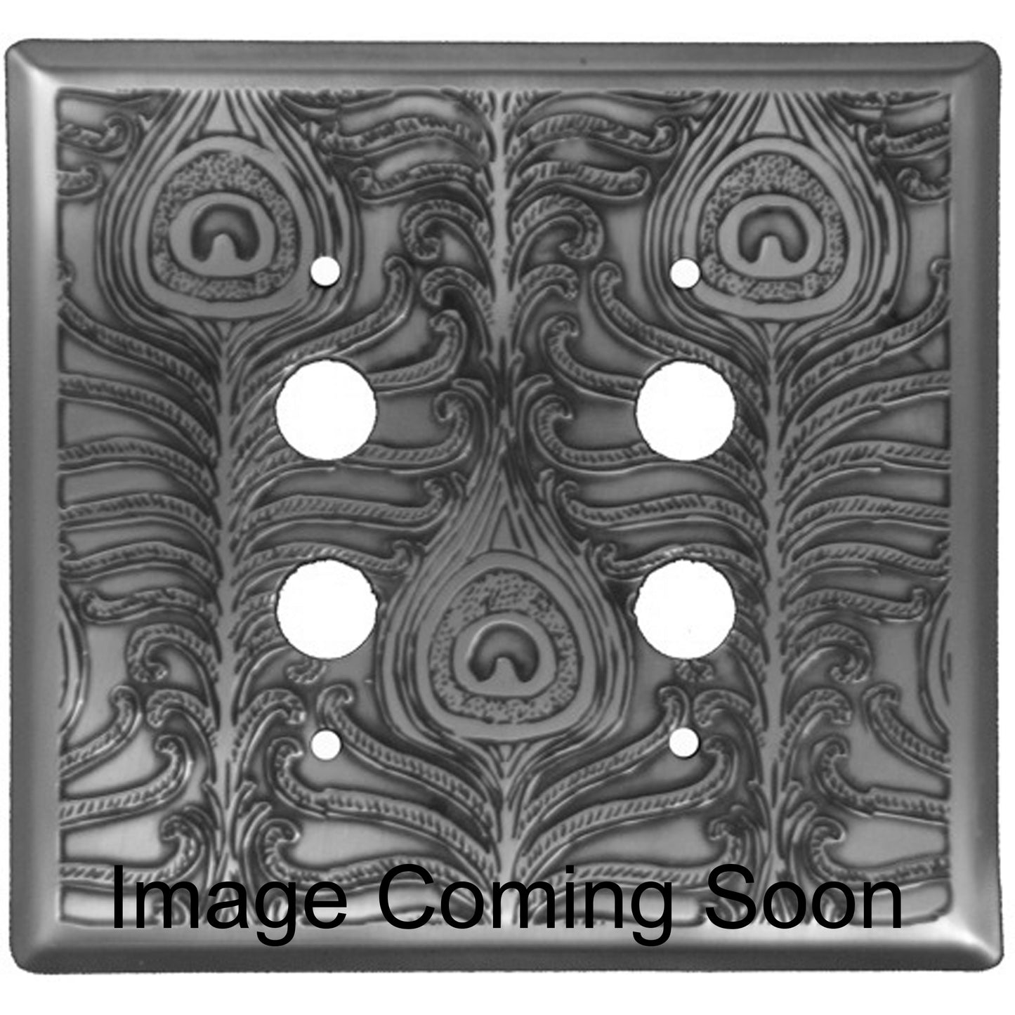 Peacock Stainless Steel 2 PushbuttonSwitchplate