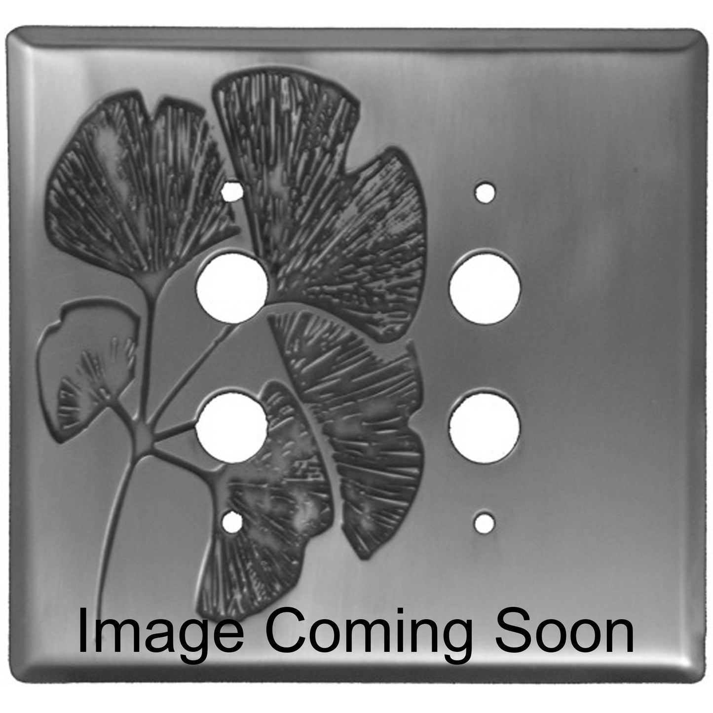Ginkgo Stainless Steel 2 PushbuttonSwitchplate