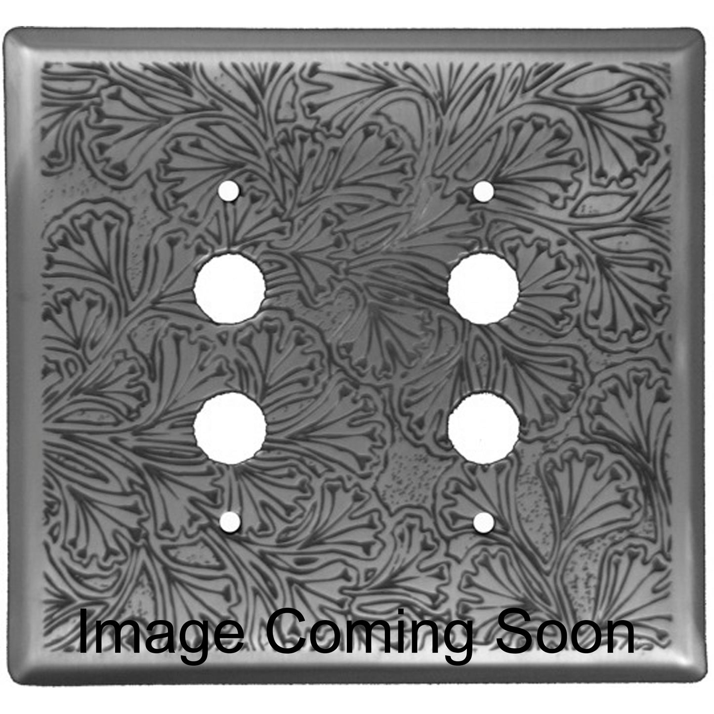 Maidenhaire Fern Stainless Steel 2 PushbuttonSwitchplate