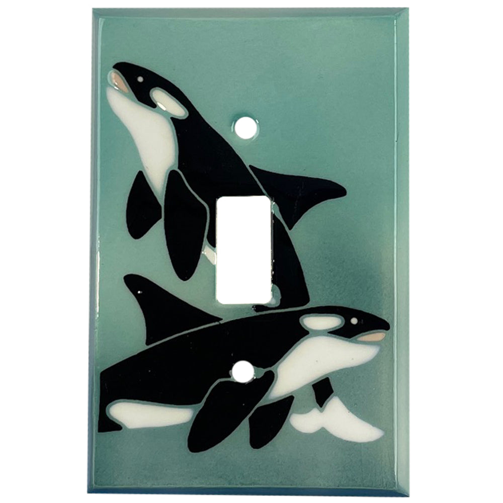 Clearance Single Covers Plates Cover Plates