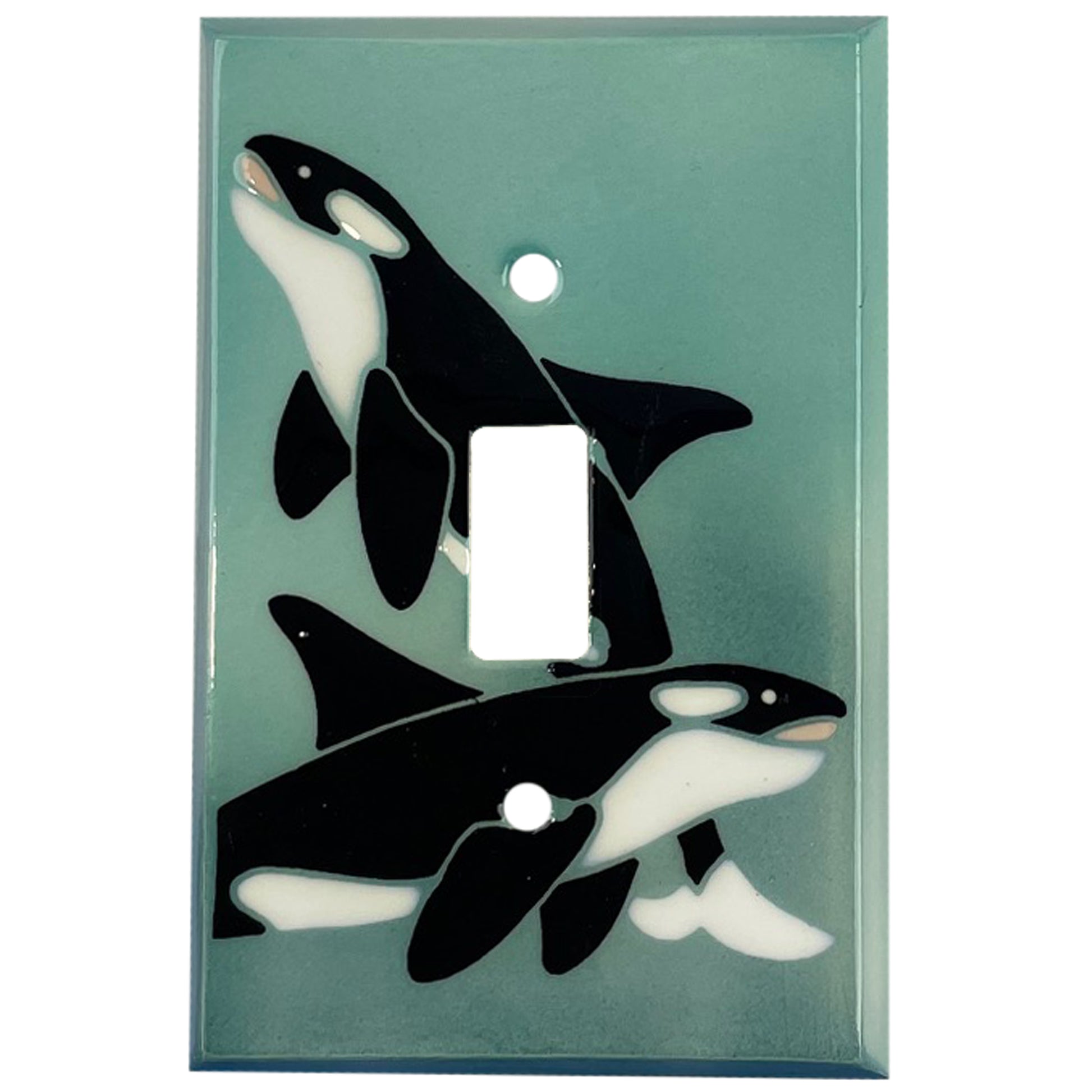 Clearance Single Covers Plates Cover Plates