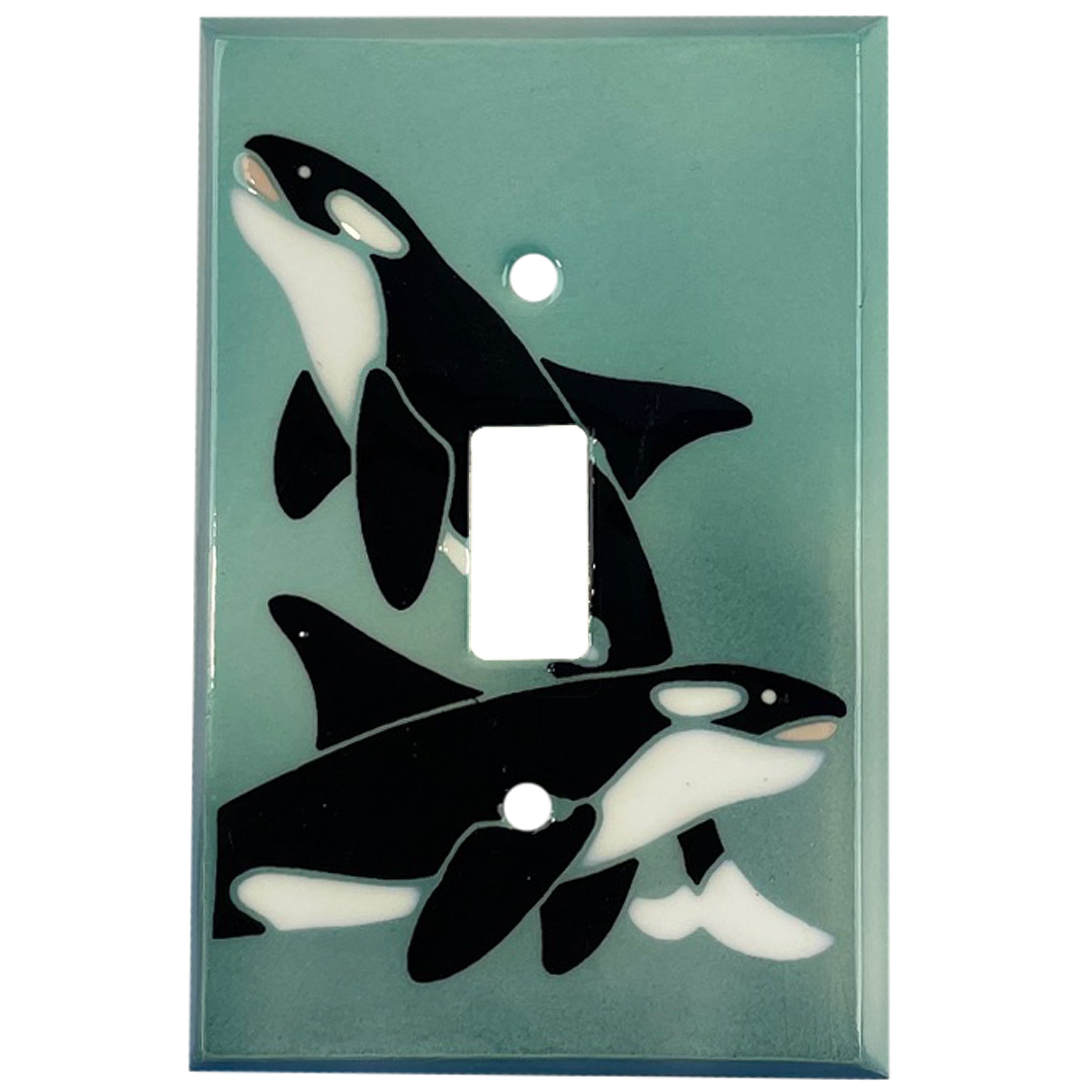 Clearance Single Covers Plates Cover Plates