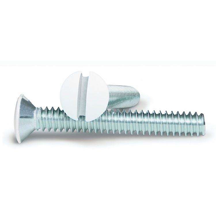 WHITE 1 Inch Wallplate Screws 10PK:Wallplatesonline.com