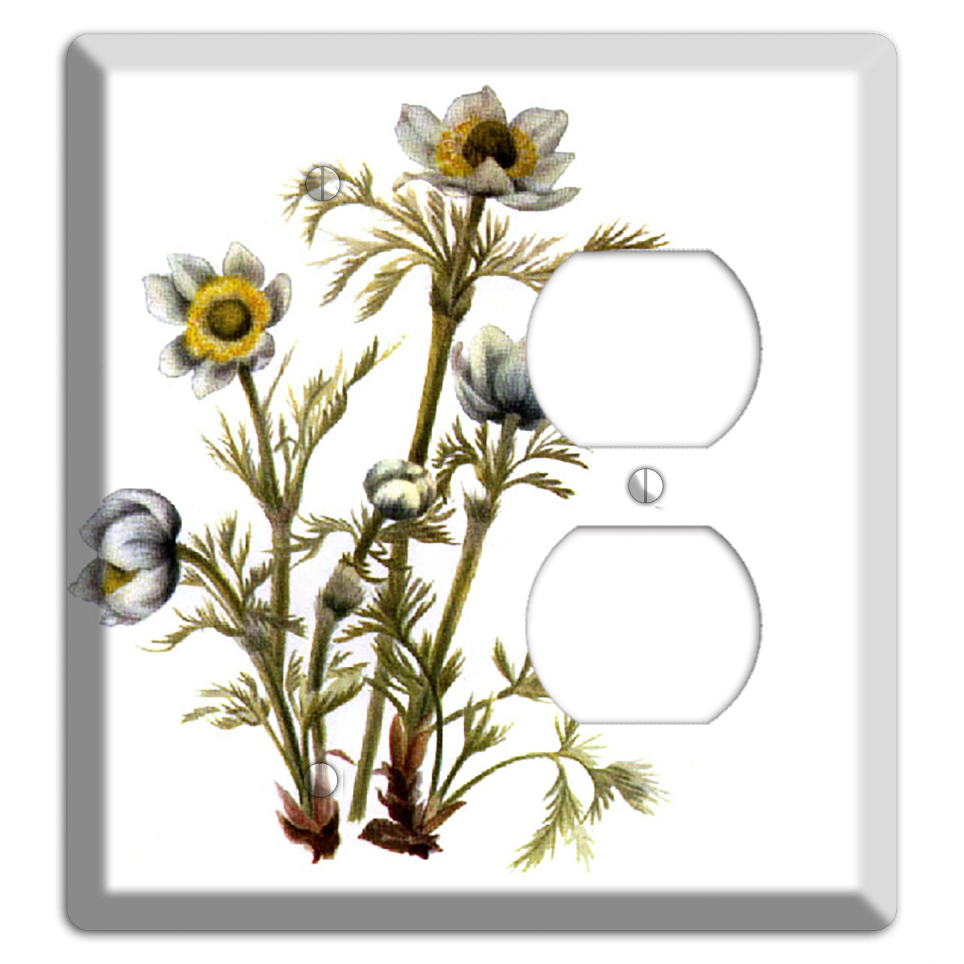 Aenmone Occitentalis Blank / Duplex Wallplate