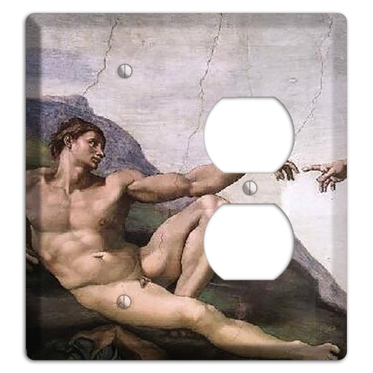 Michelangelo 1 Blank / Duplex Wallplate