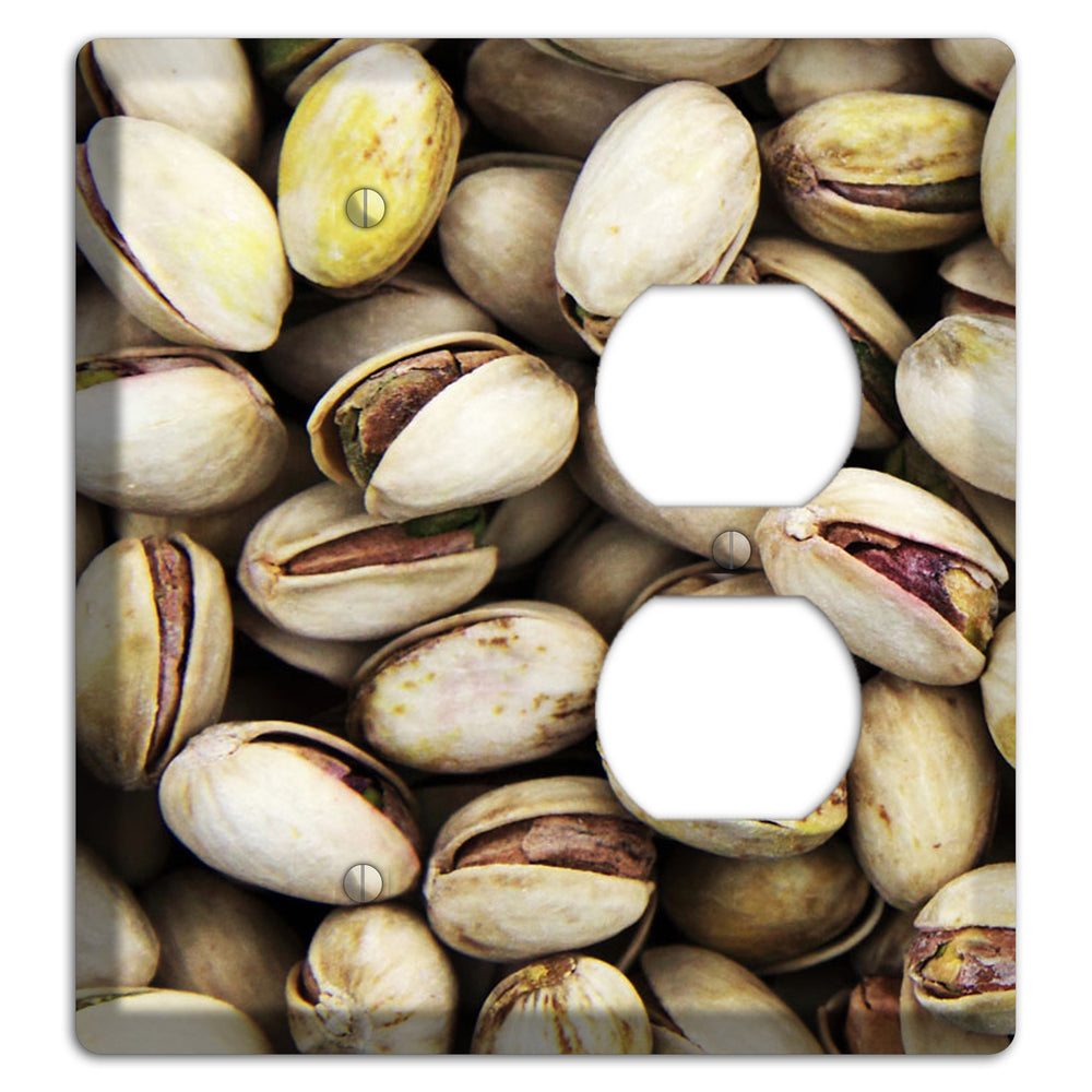 Pistachio Blank / Duplex Wallplate
