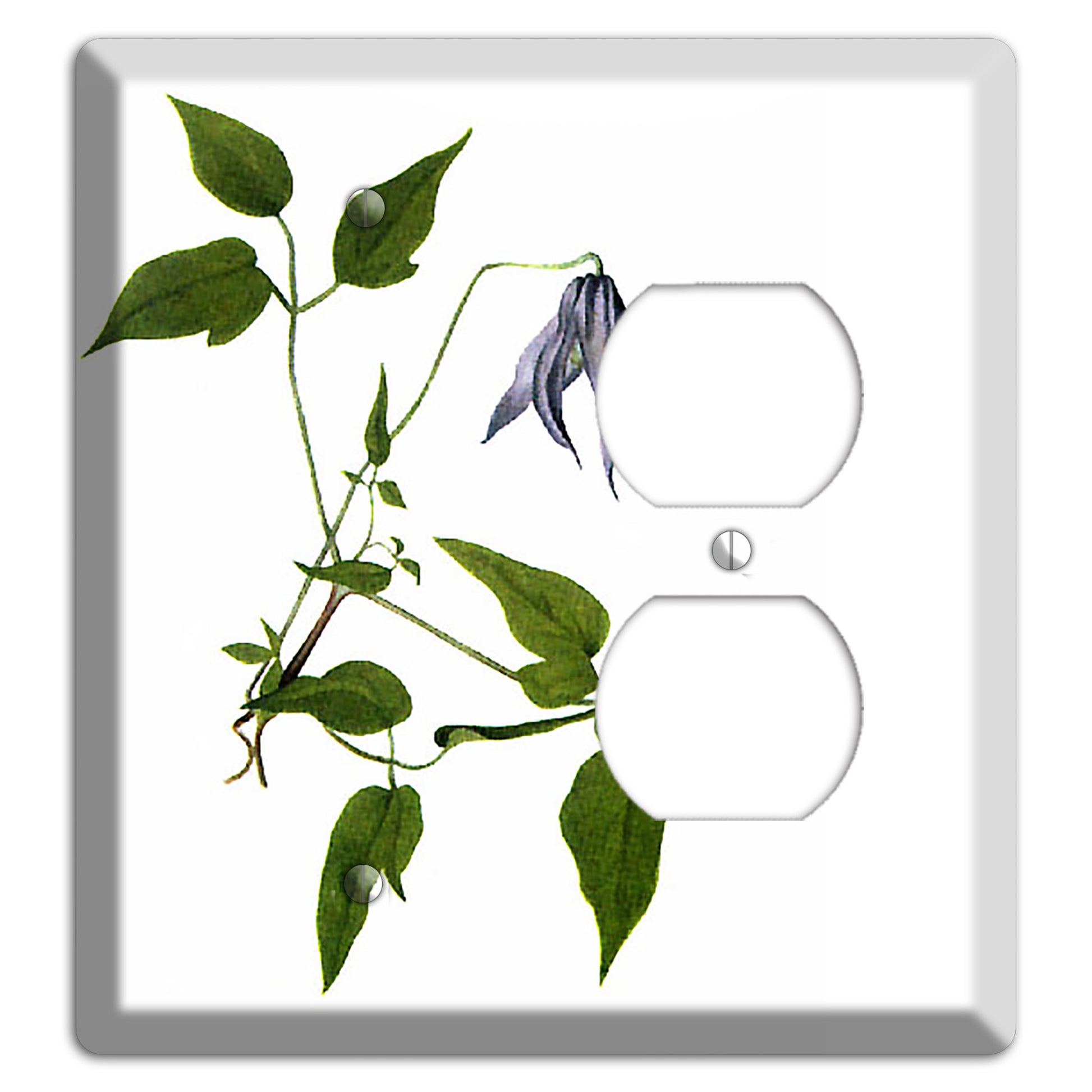 Clematis Columbiana Blank / Duplex Wallplate