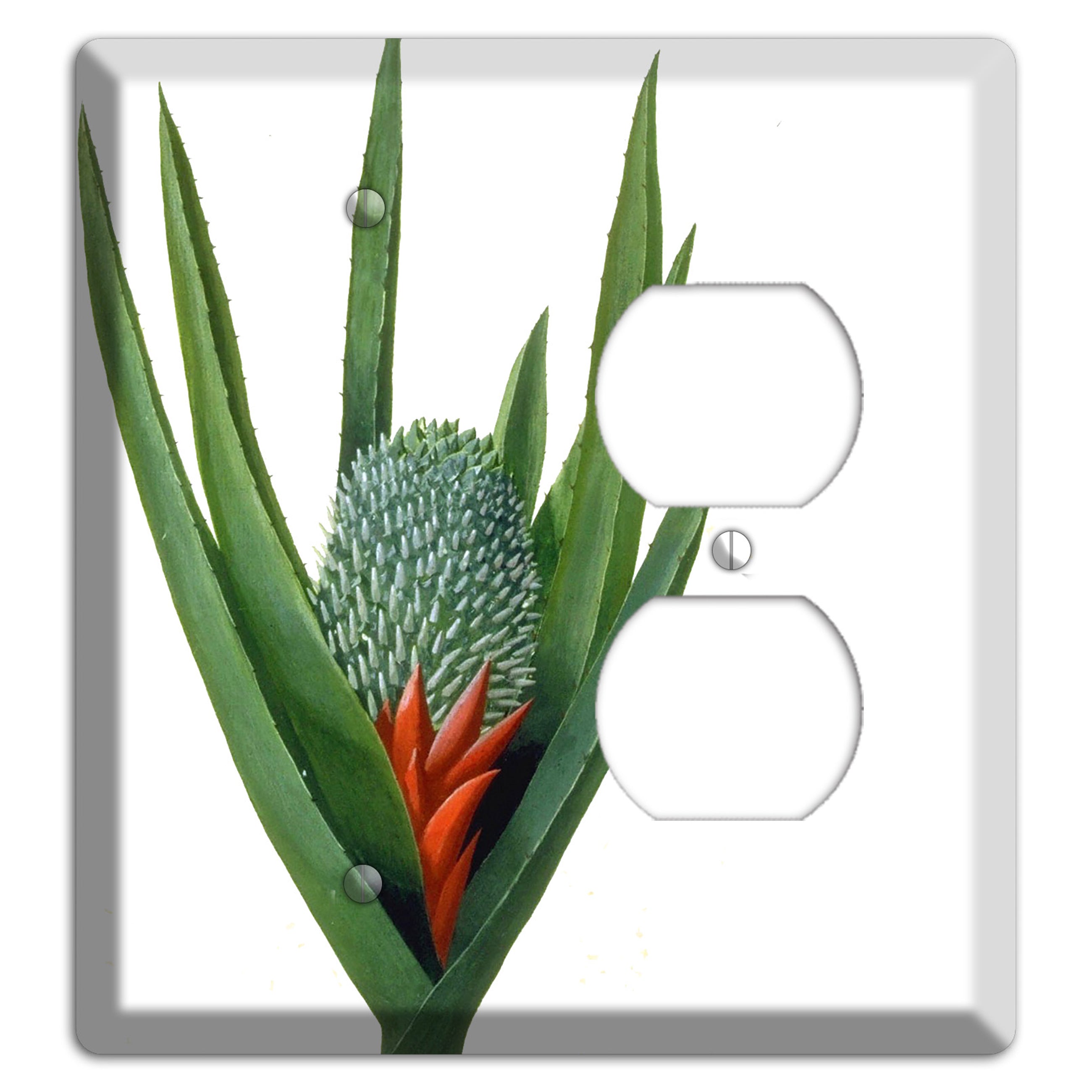 Bromiliad Blank / Duplex Wallplate