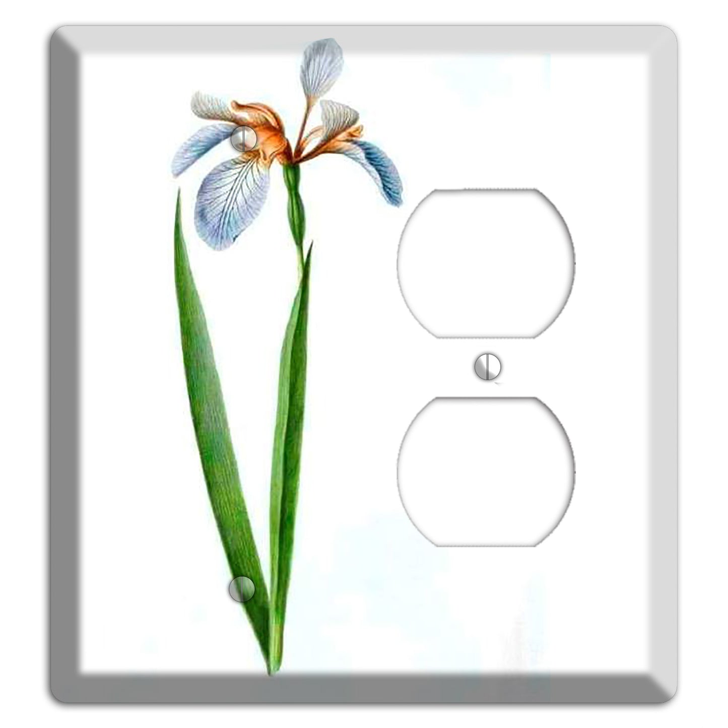 White Iris 2 Blank / Duplex Wallplate