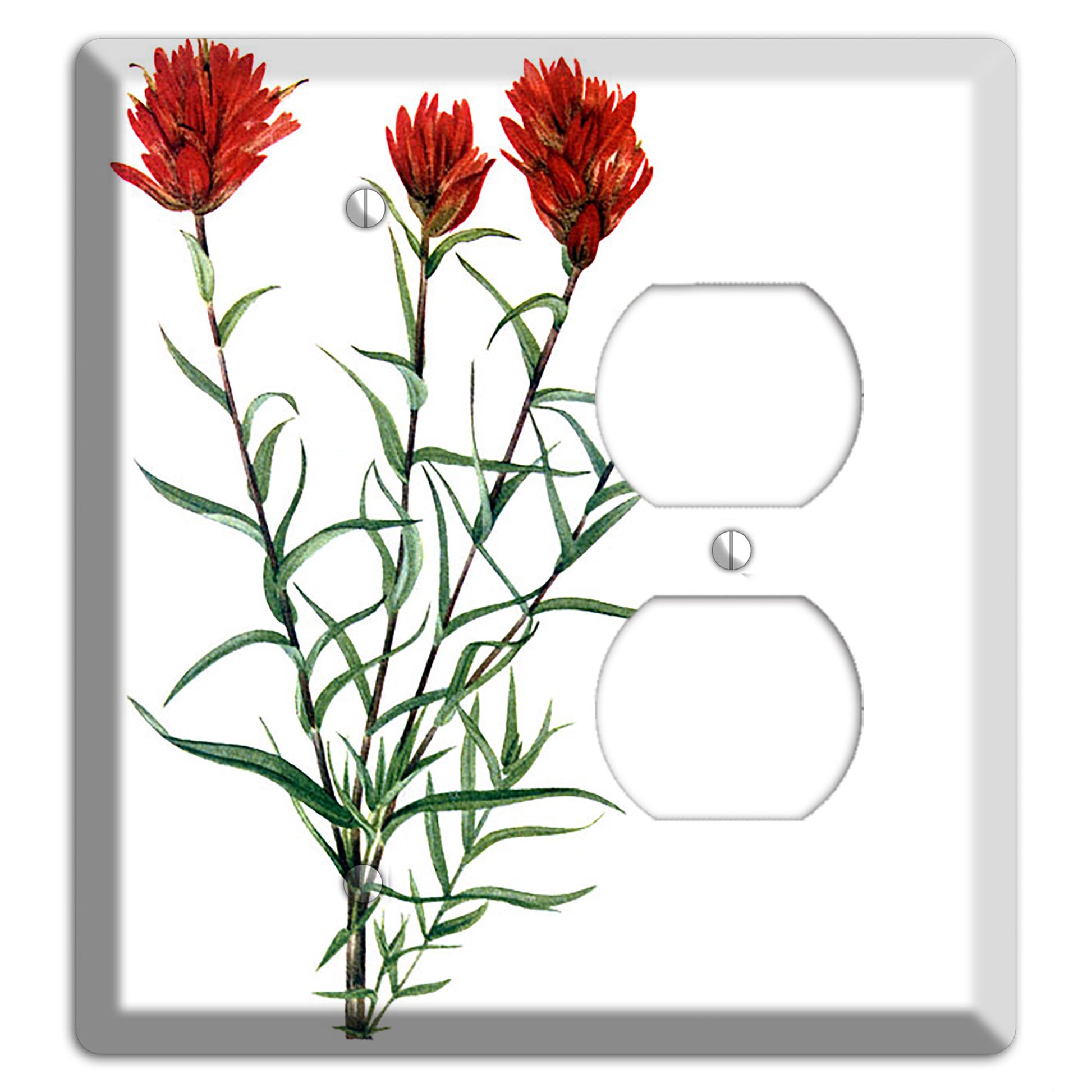 Castilleja Linarifolia Blank / Duplex Wallplate