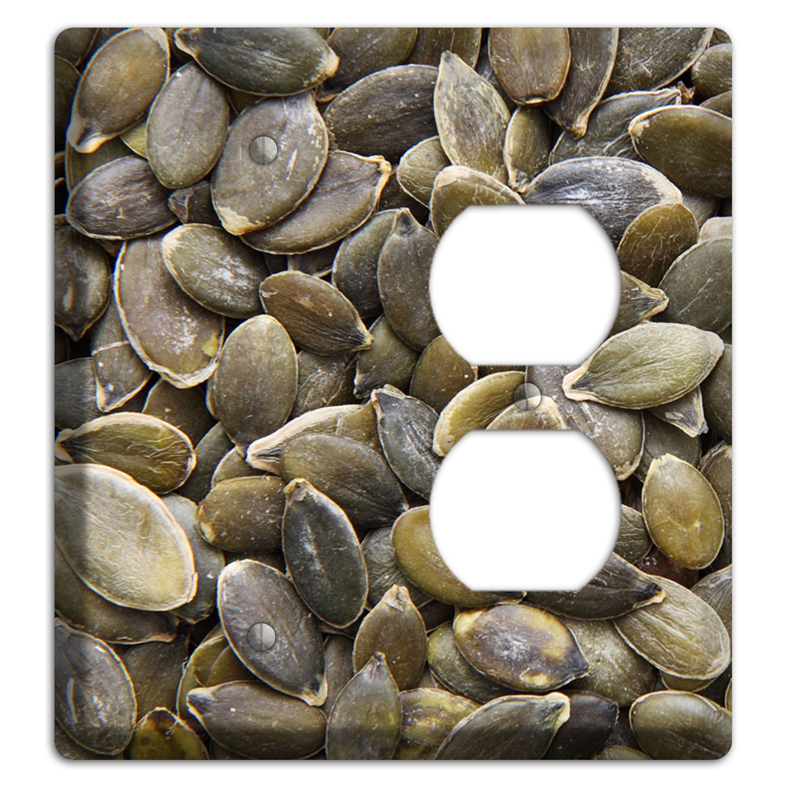 Sunflowers Seeds Blank / Duplex Wallplate