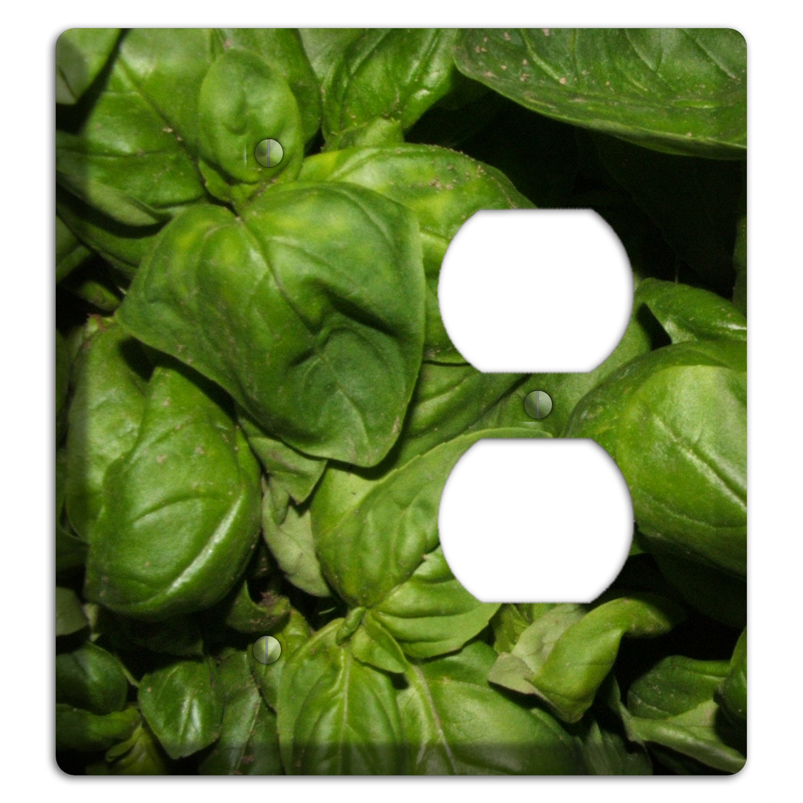 Basil Blank / Duplex Wallplate