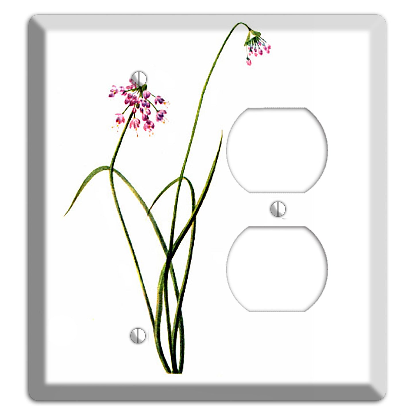 Allium Cernum Blank / Duplex Wallplate