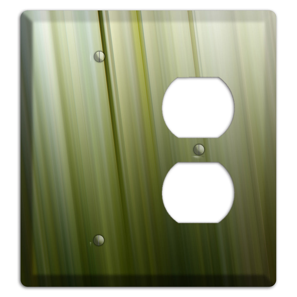 Olive Ray of Light 2 Blank / Duplex Wallplate